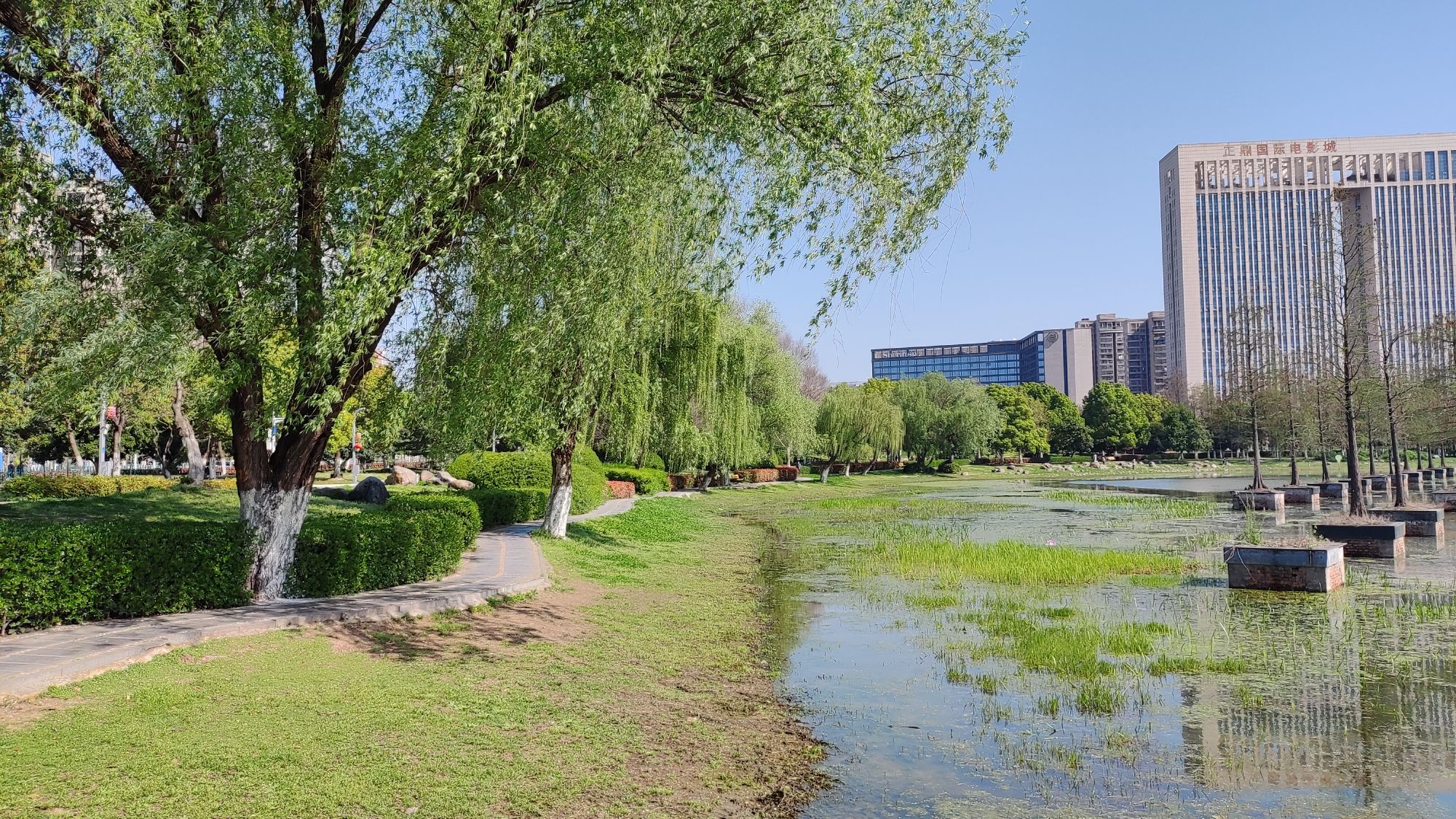 合肥生态公园旅行图片 1