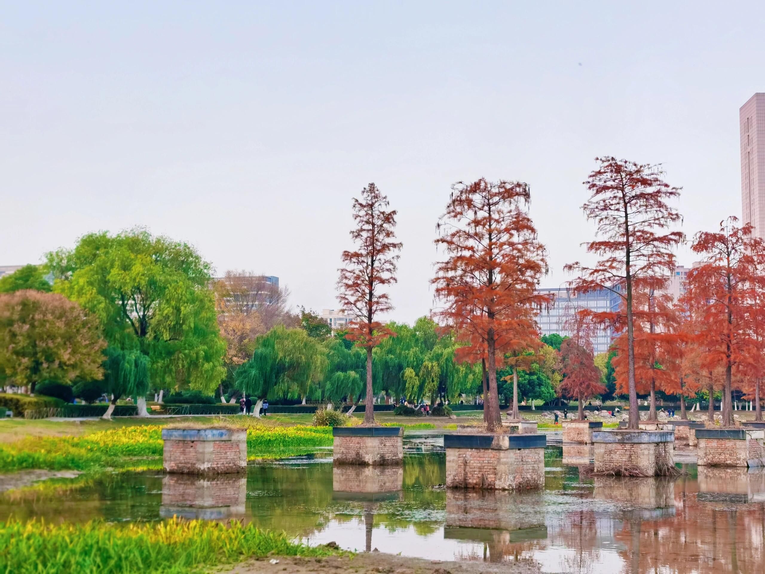 合肥生态公园旅行图片 1