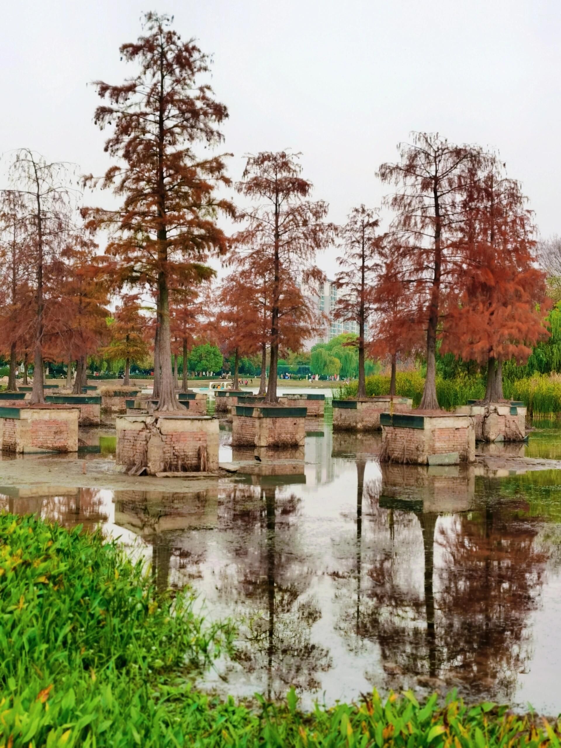 合肥生态公园旅行图片 3
