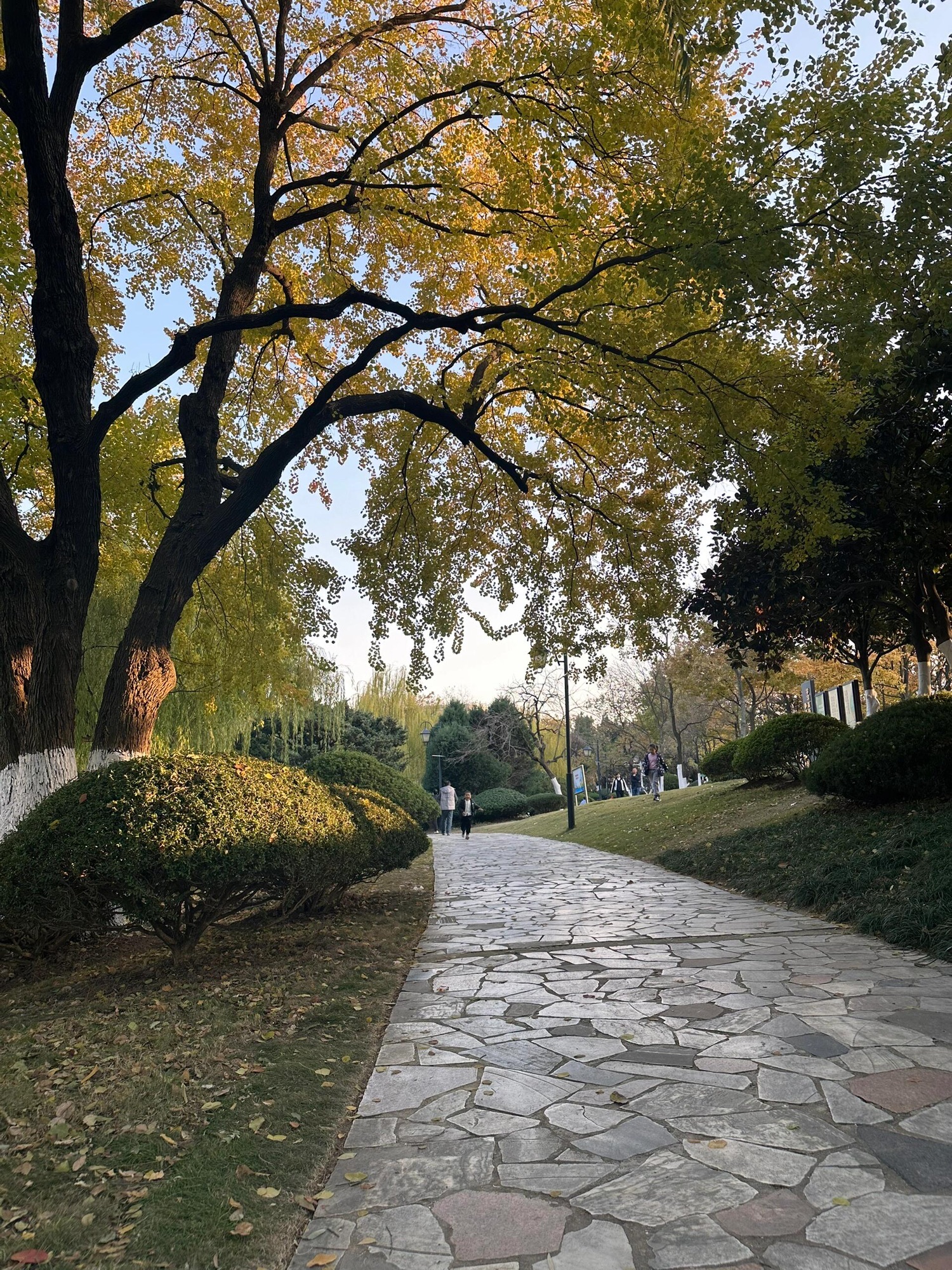 天乐公园旅行图片 1