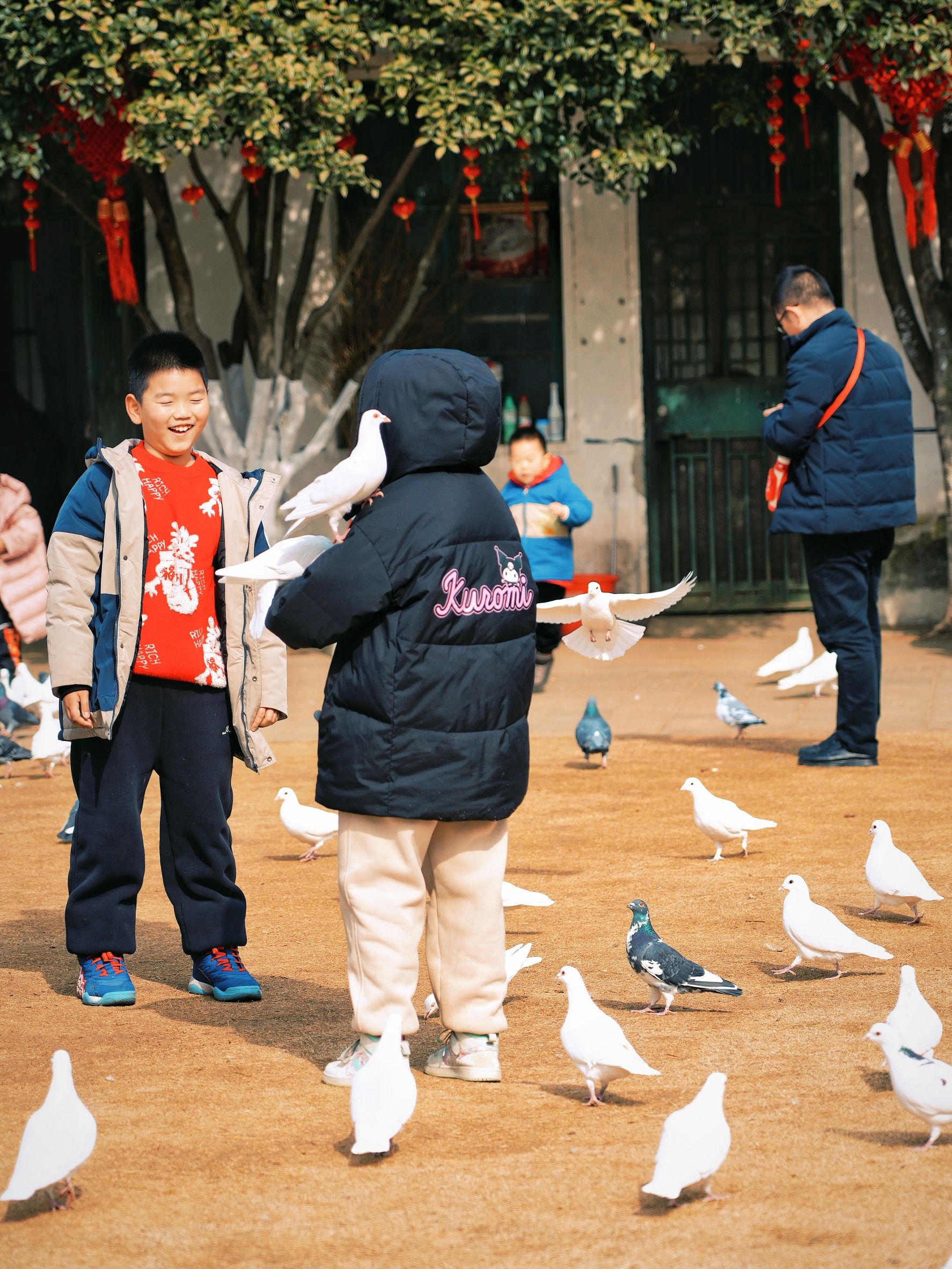 天乐公园旅行图片 3