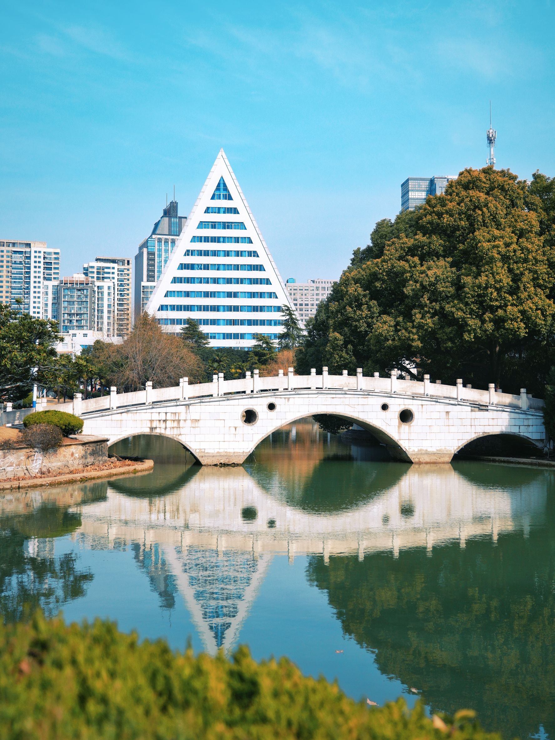 天乐公园旅行图片 1