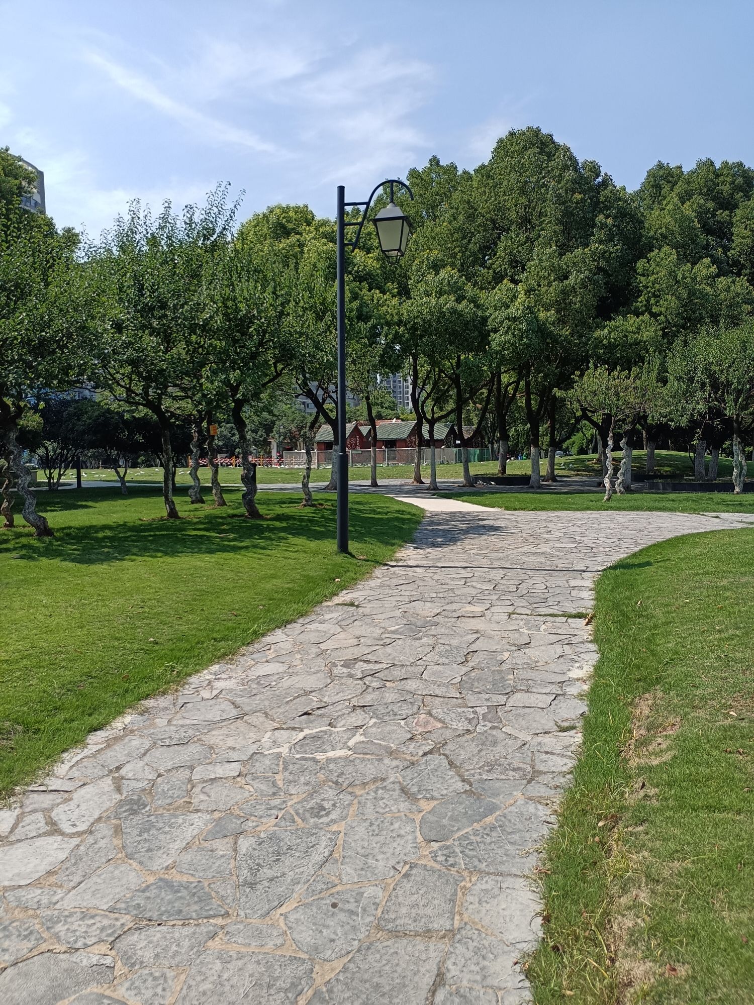 天乐公园旅行图片 3