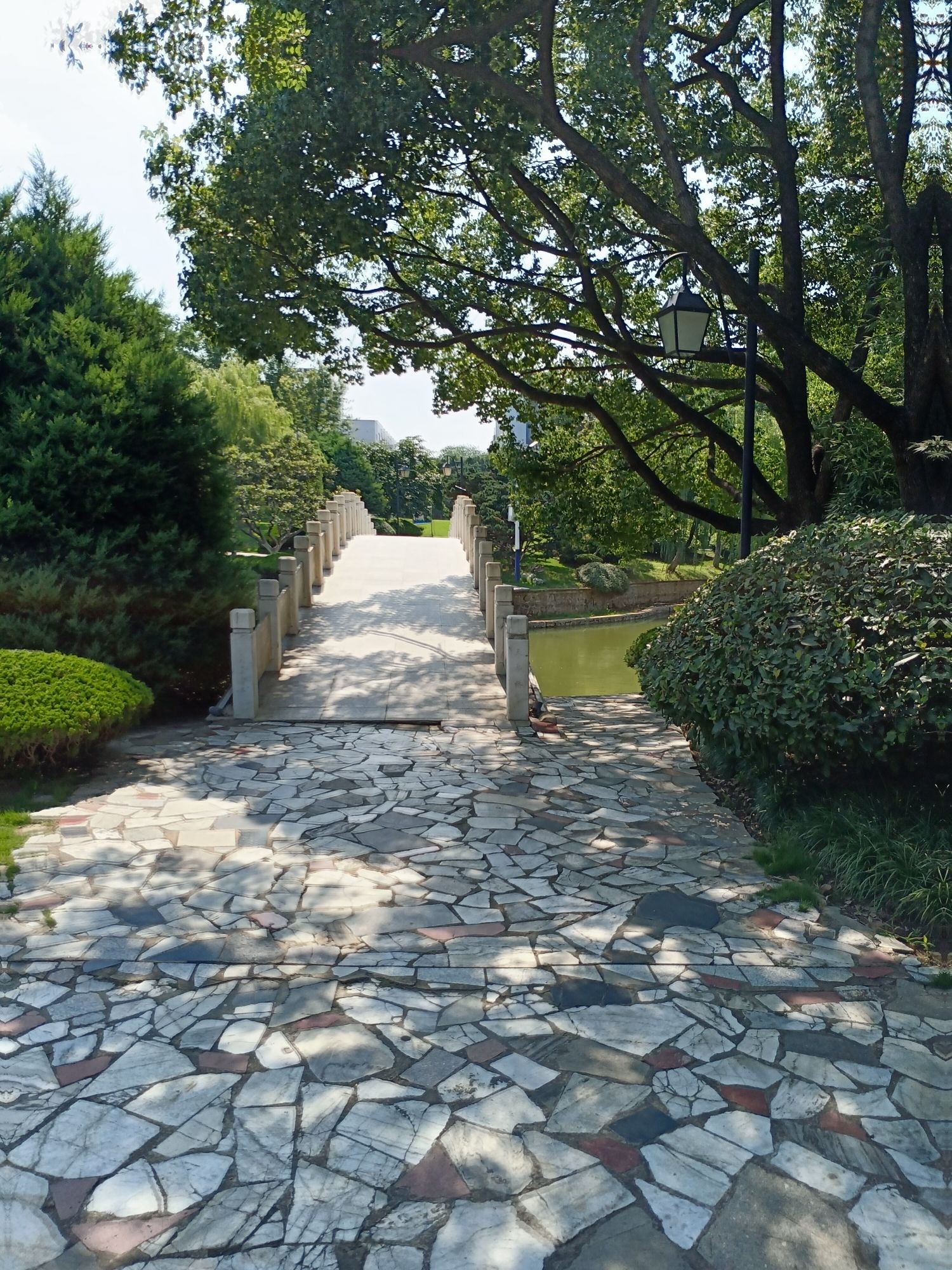 天乐公园旅行图片 1