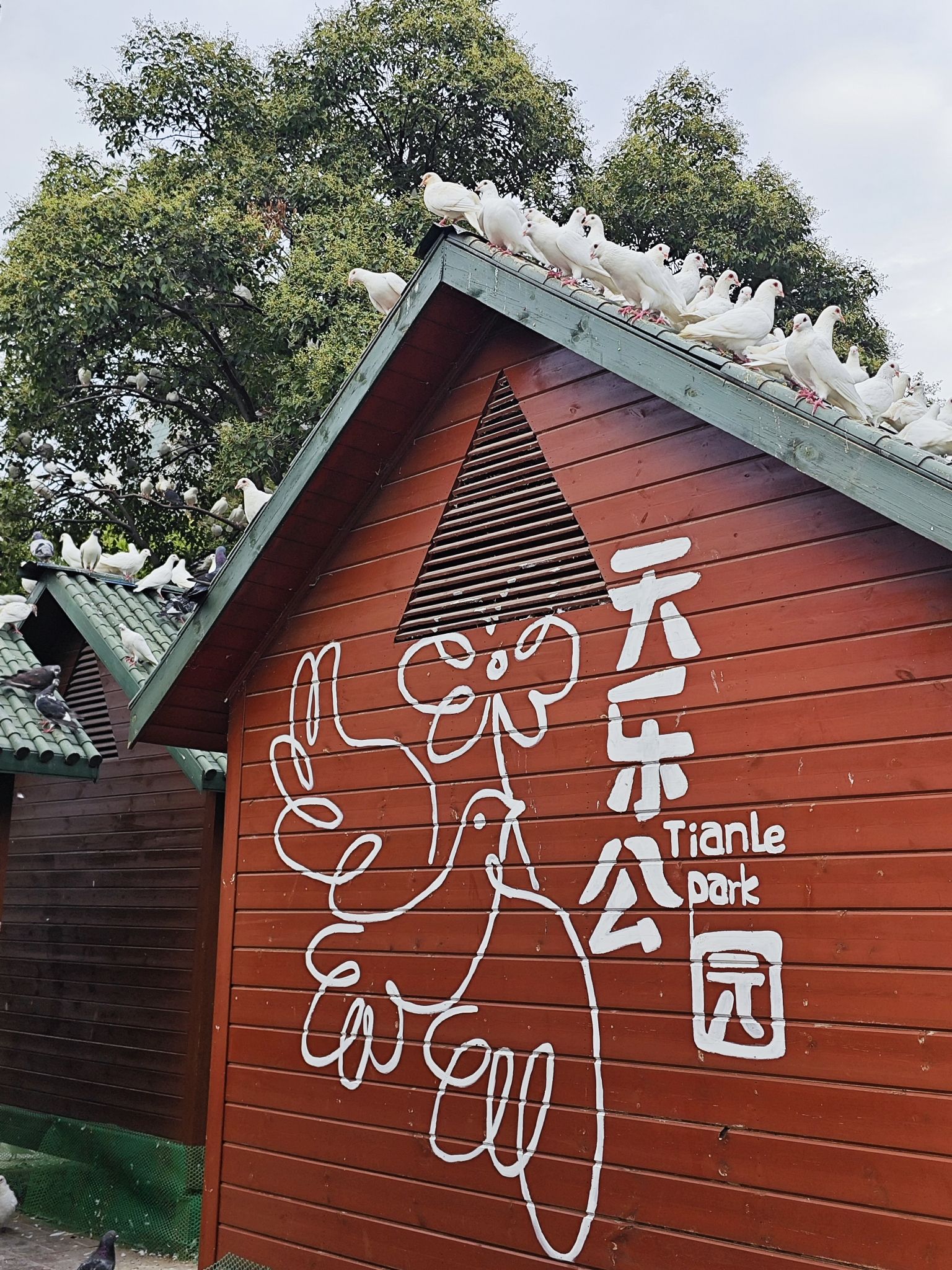 天乐公园旅行图片 2