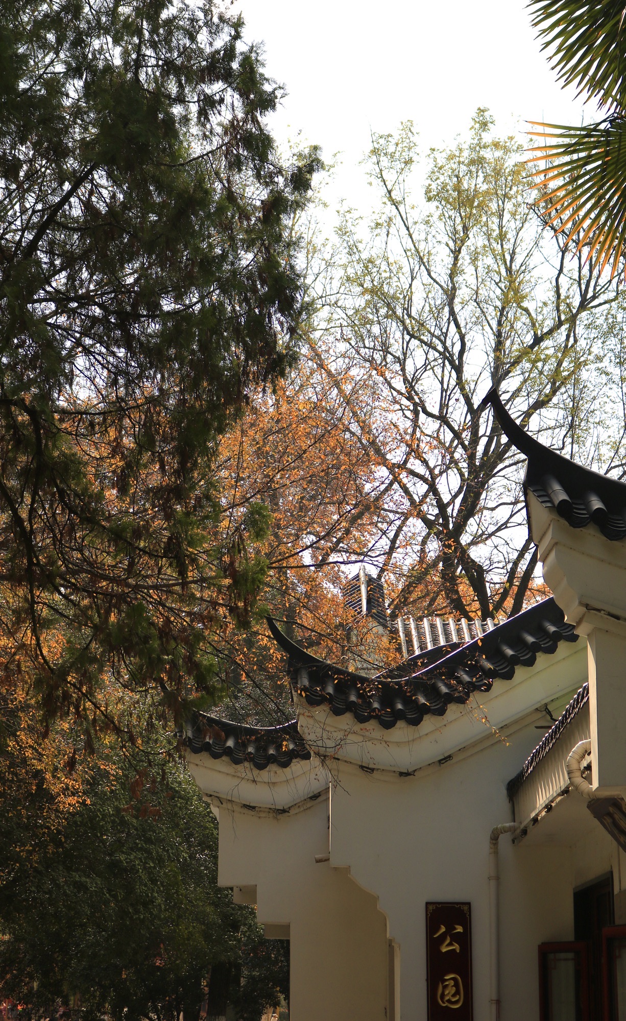 古逍遥津旅行图片 3
