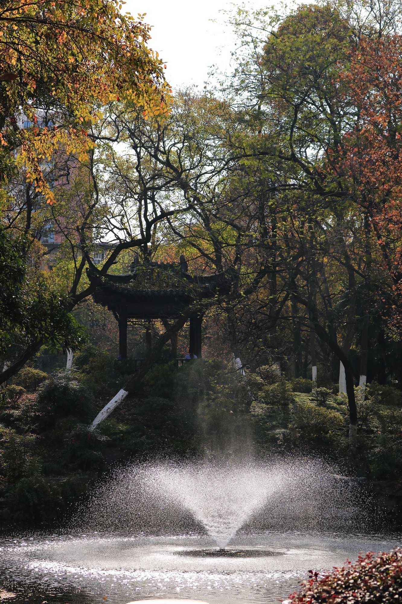 古逍遥津旅行图片 1