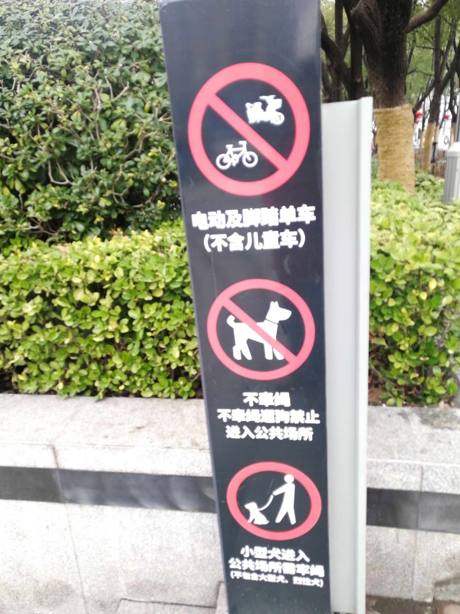 和平广场旅行图片 1