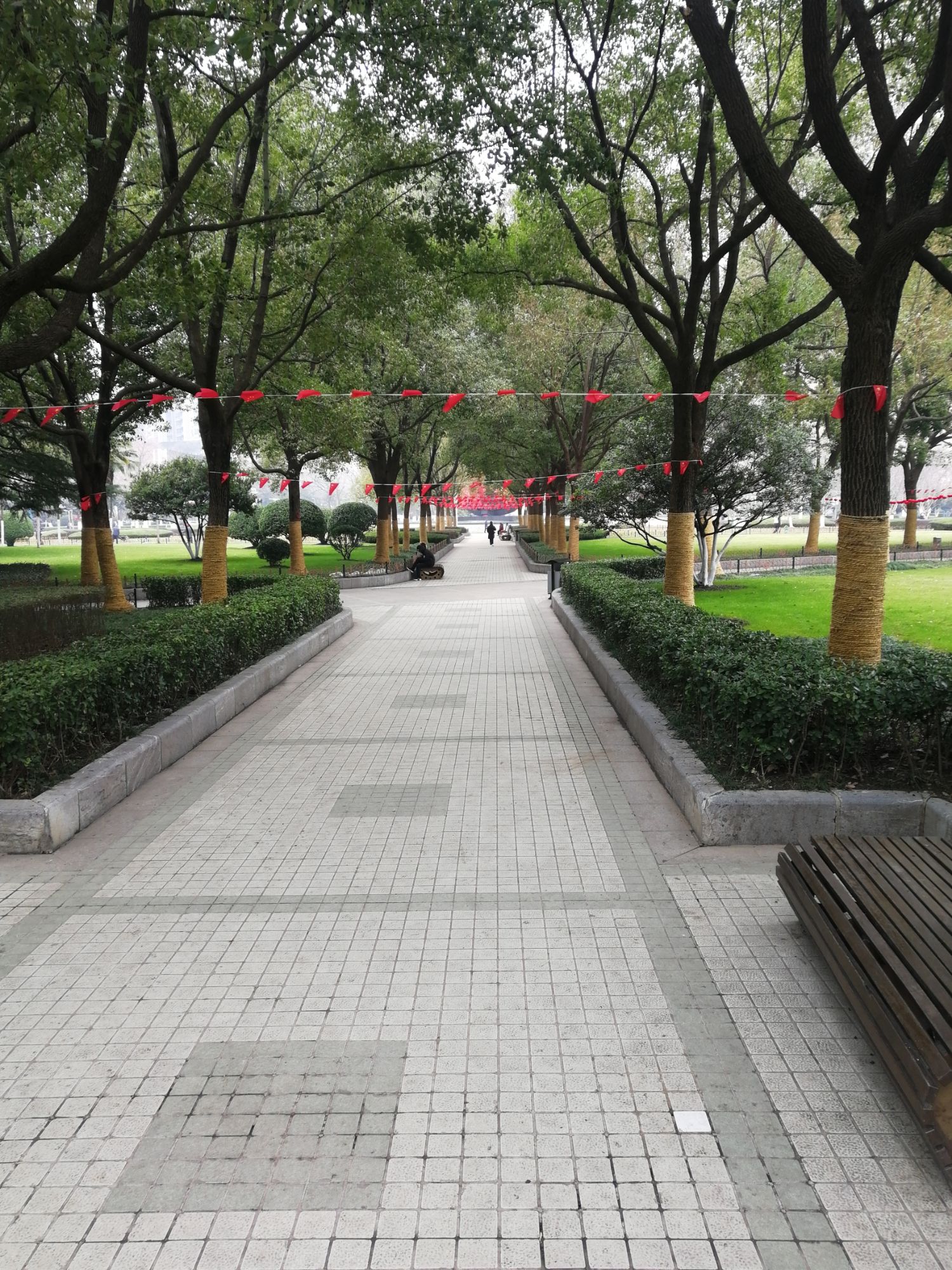 和平广场旅行图片 3