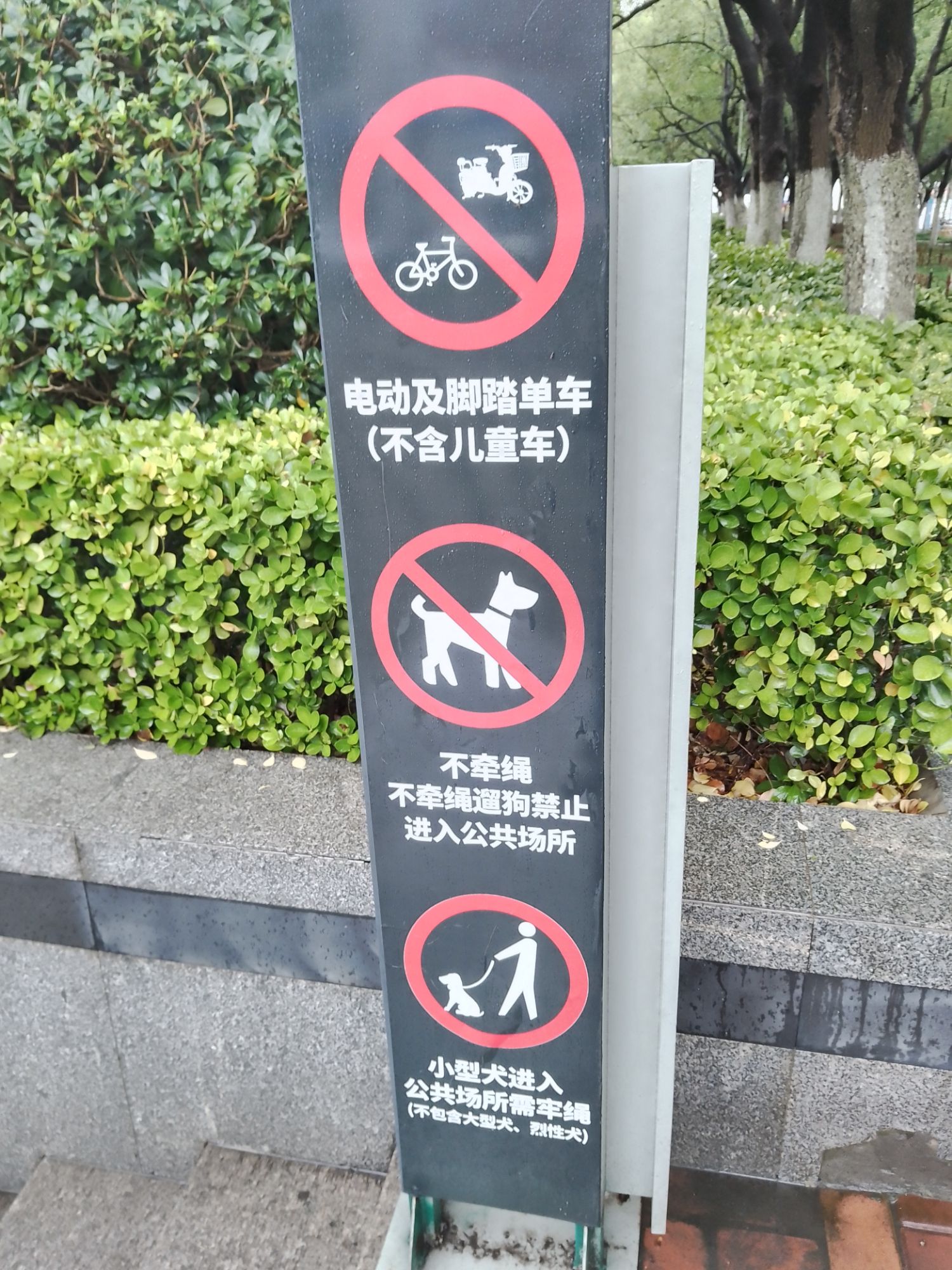 和平广场旅行图片 1