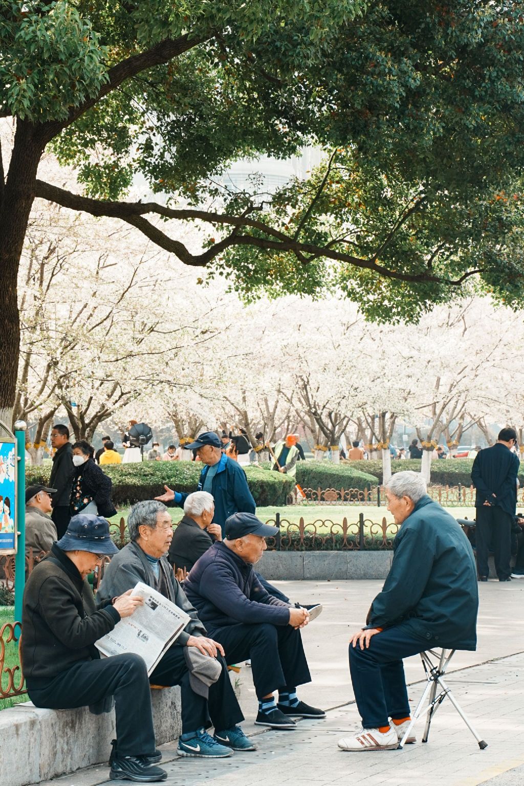 和平广场旅行图片 1