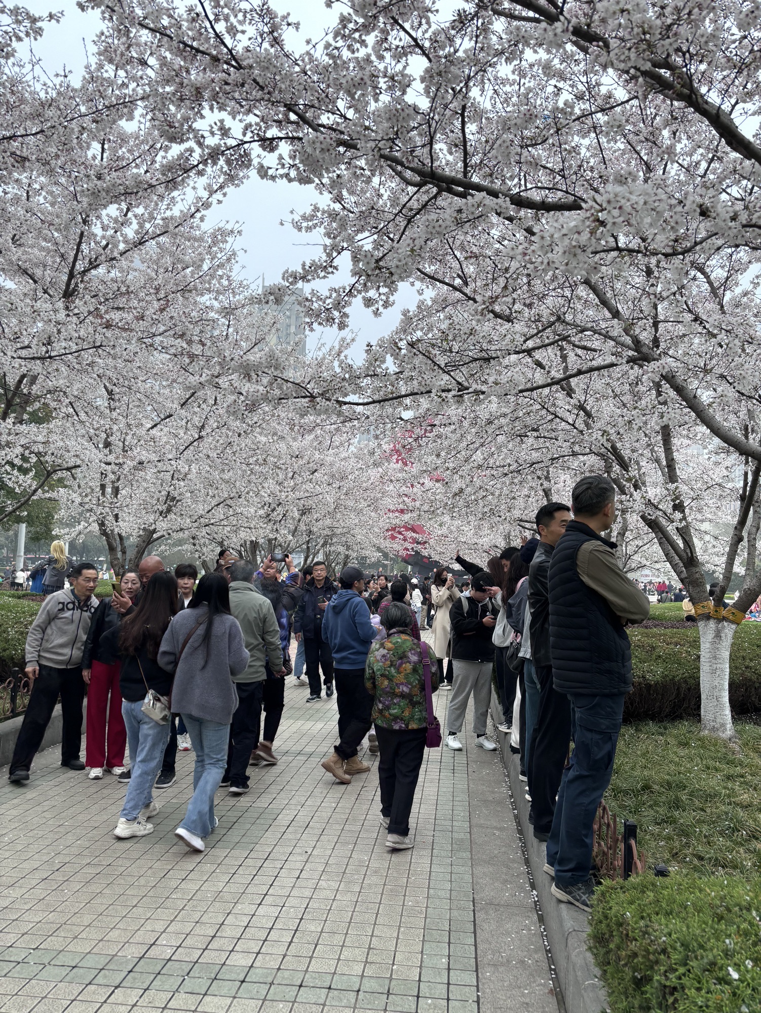 和平广场旅行图片 3