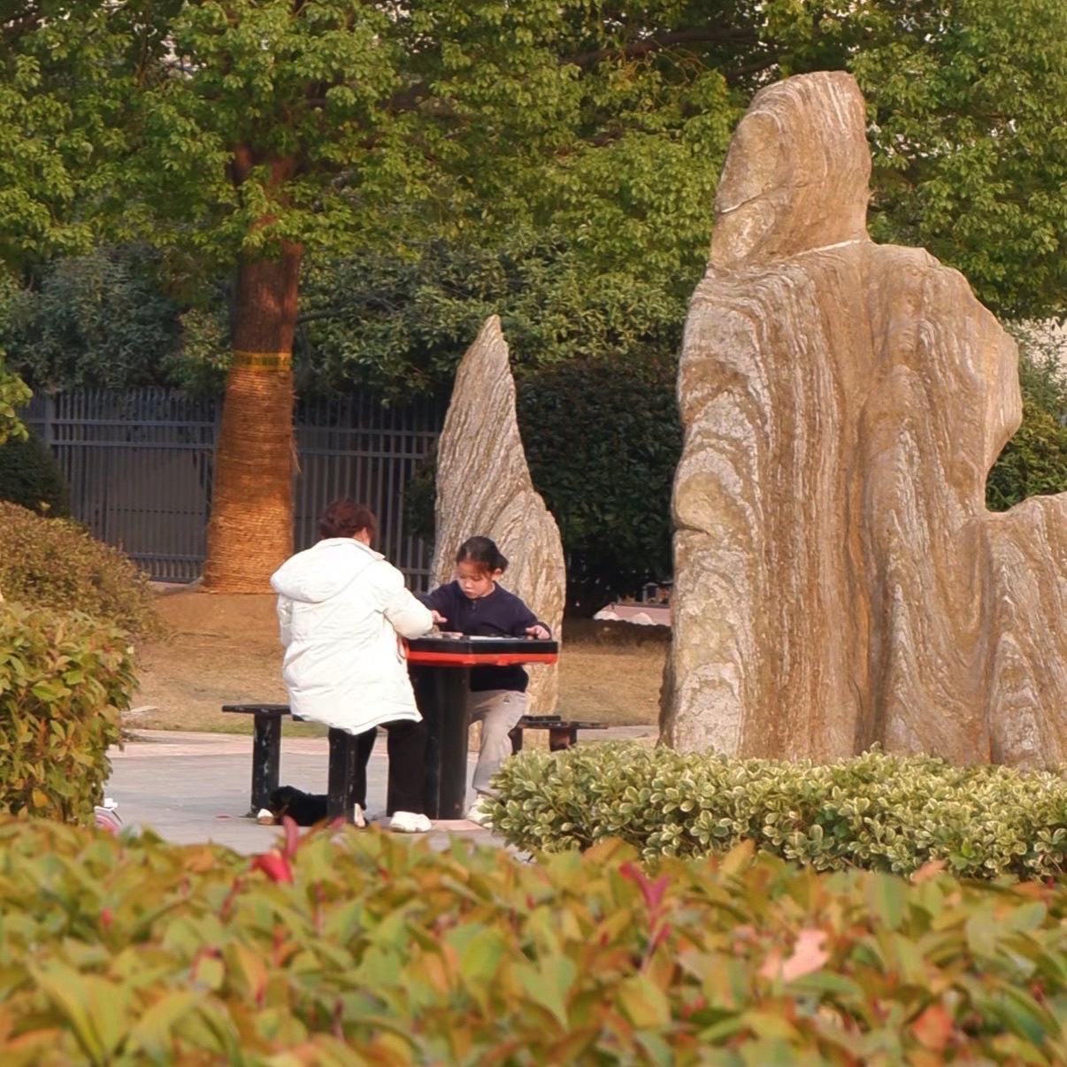 新海公园旅行图片 3