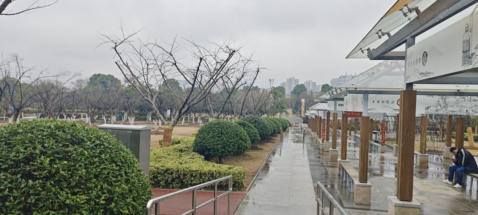 新海公园旅行图片 3