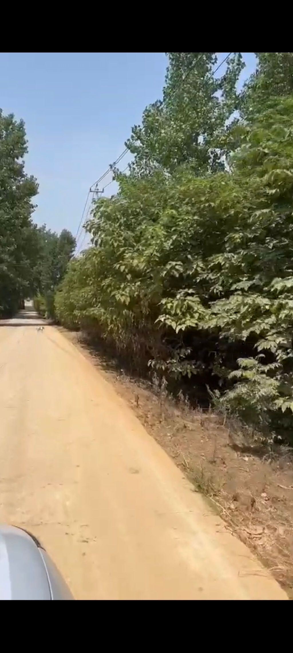安徽元一双凤湖国际旅游度假区旅行图片 1