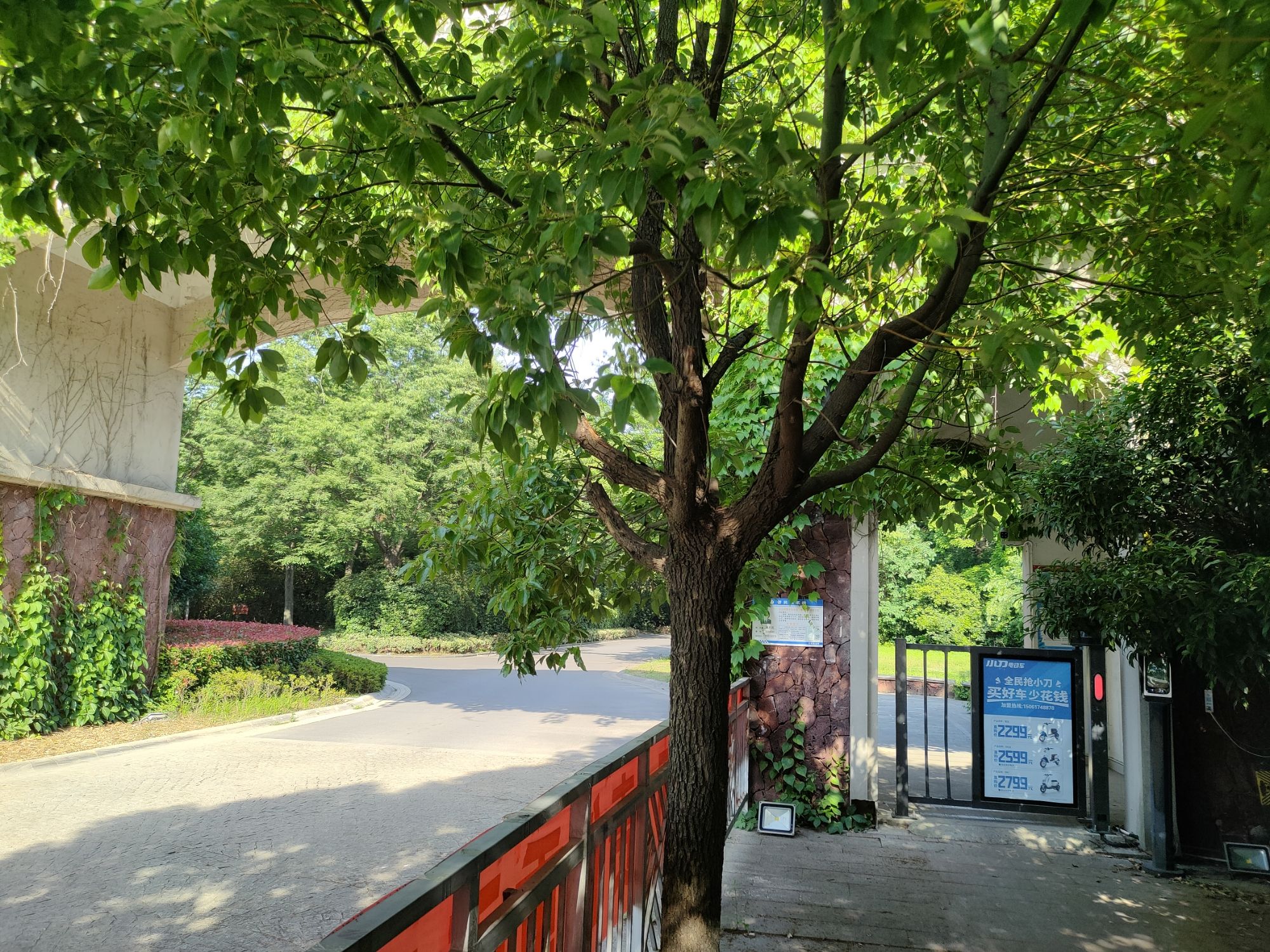 安徽元一双凤湖国际旅游度假区旅行图片 1