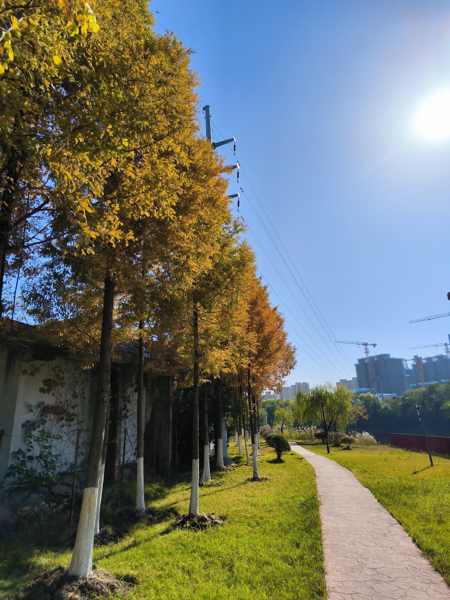 城北公园旅行图片 2
