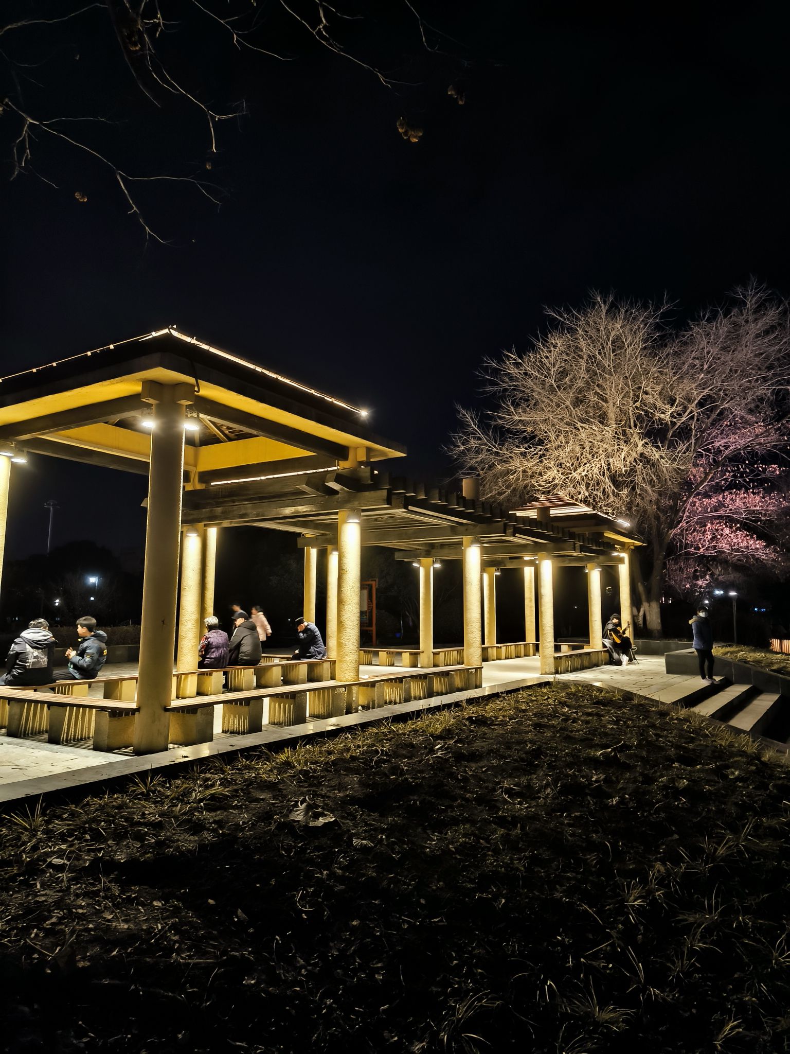 水湖公园旅行图片 3