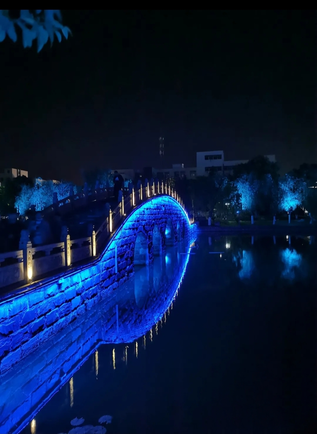 水湖公园旅行图片 3