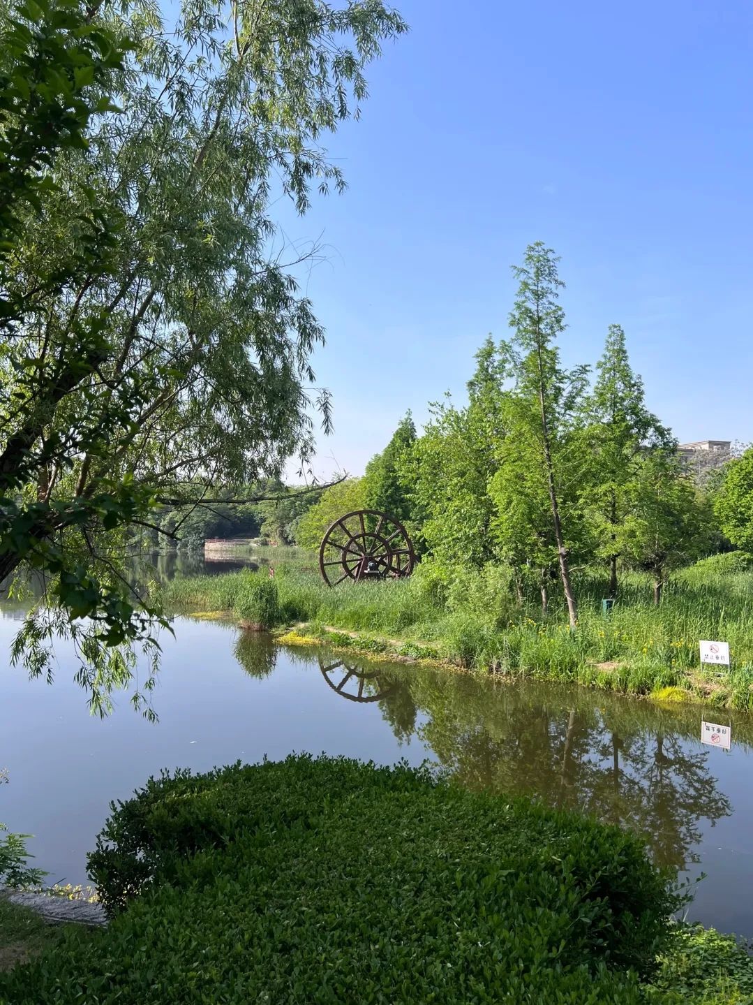 中国铁建·国际城湿地公园旅行图片 2