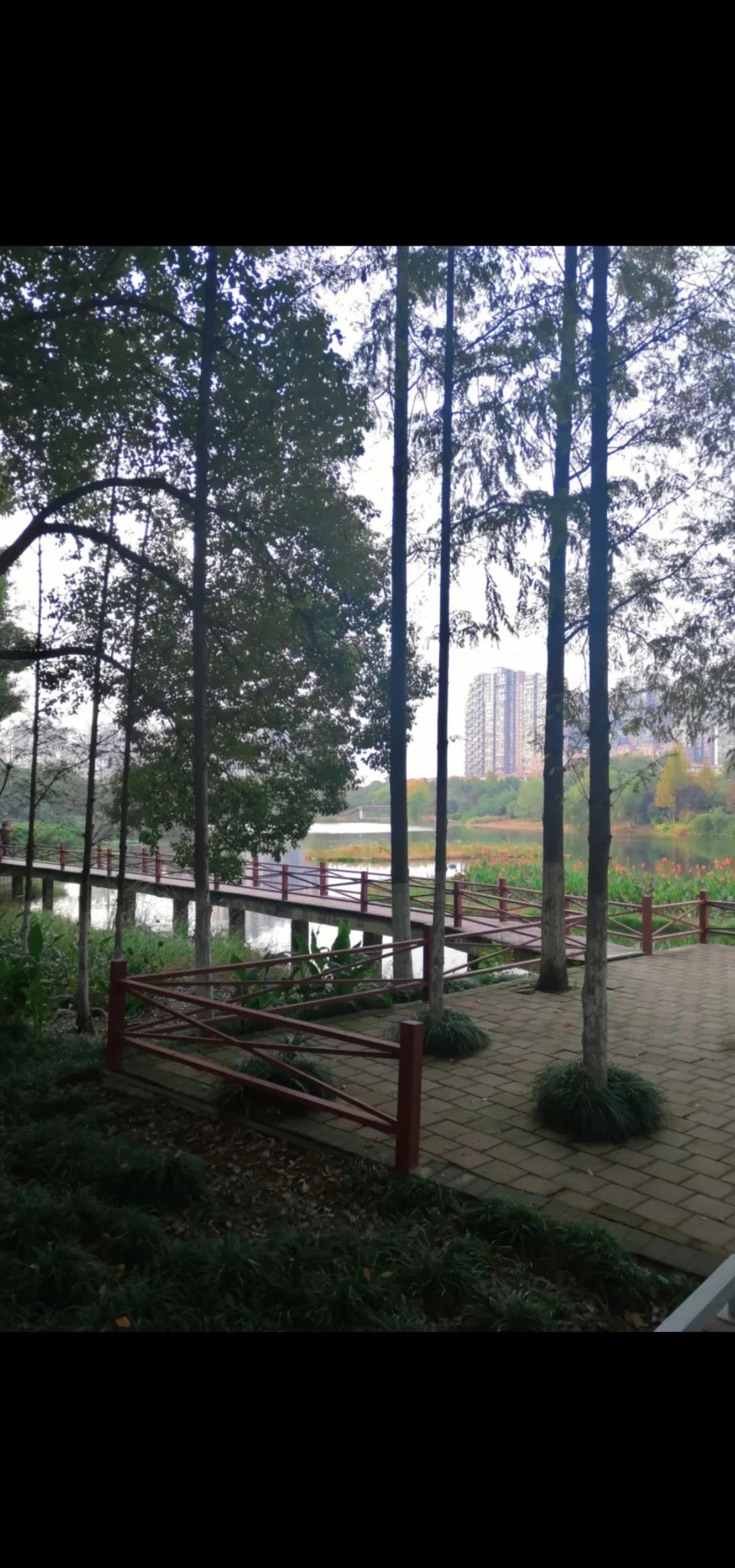 中国铁建·国际城湿地公园旅行图片 3