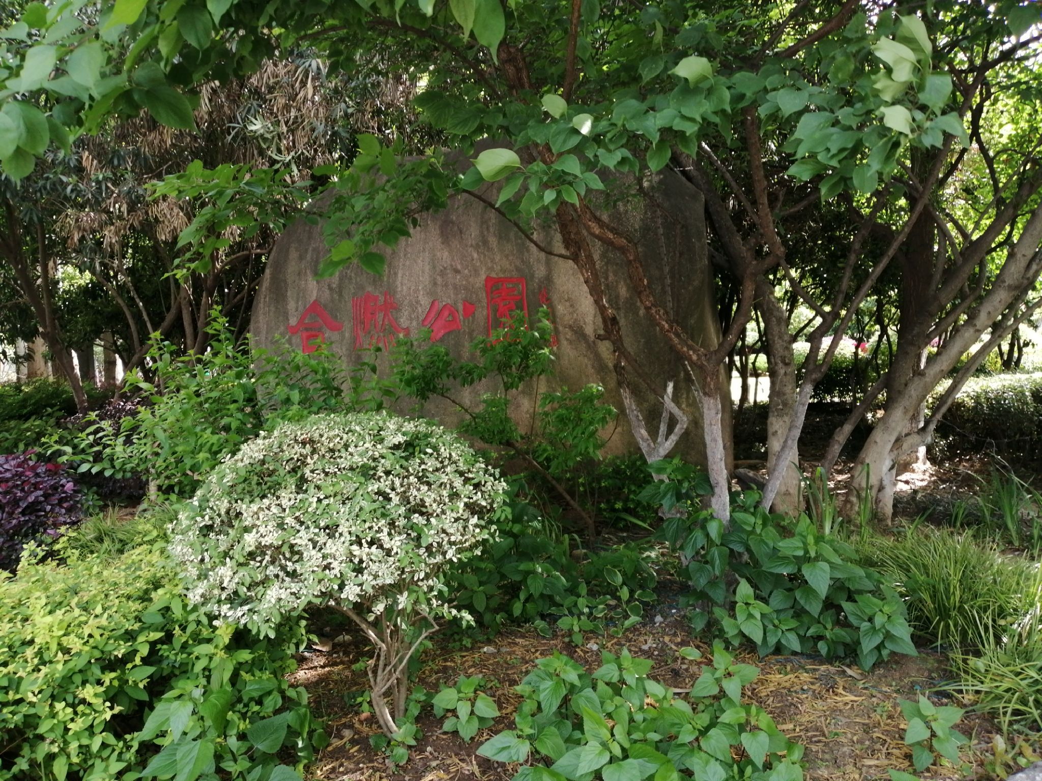 合燃公园旅行图片 1
