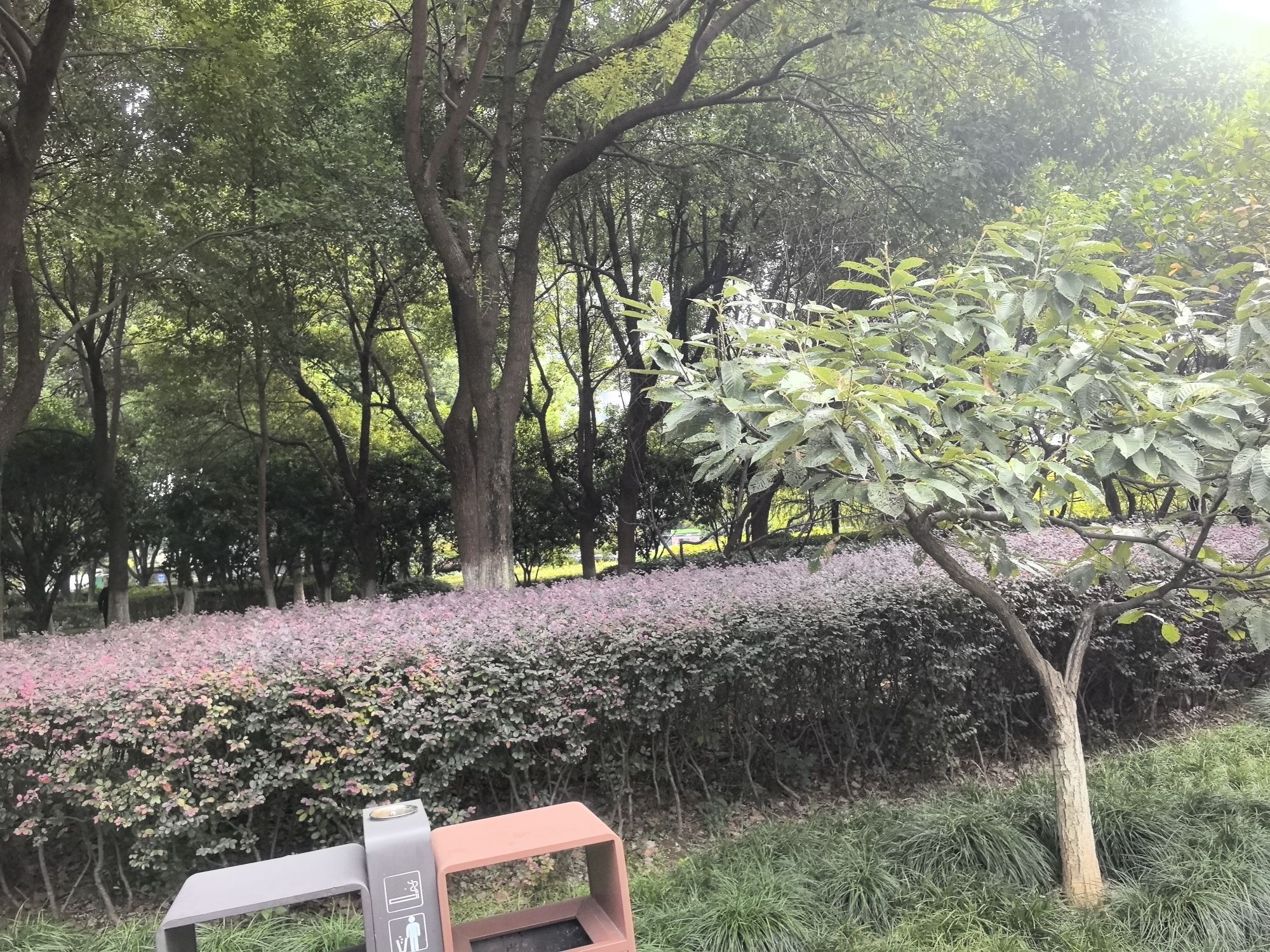 合燃公园旅行图片 1