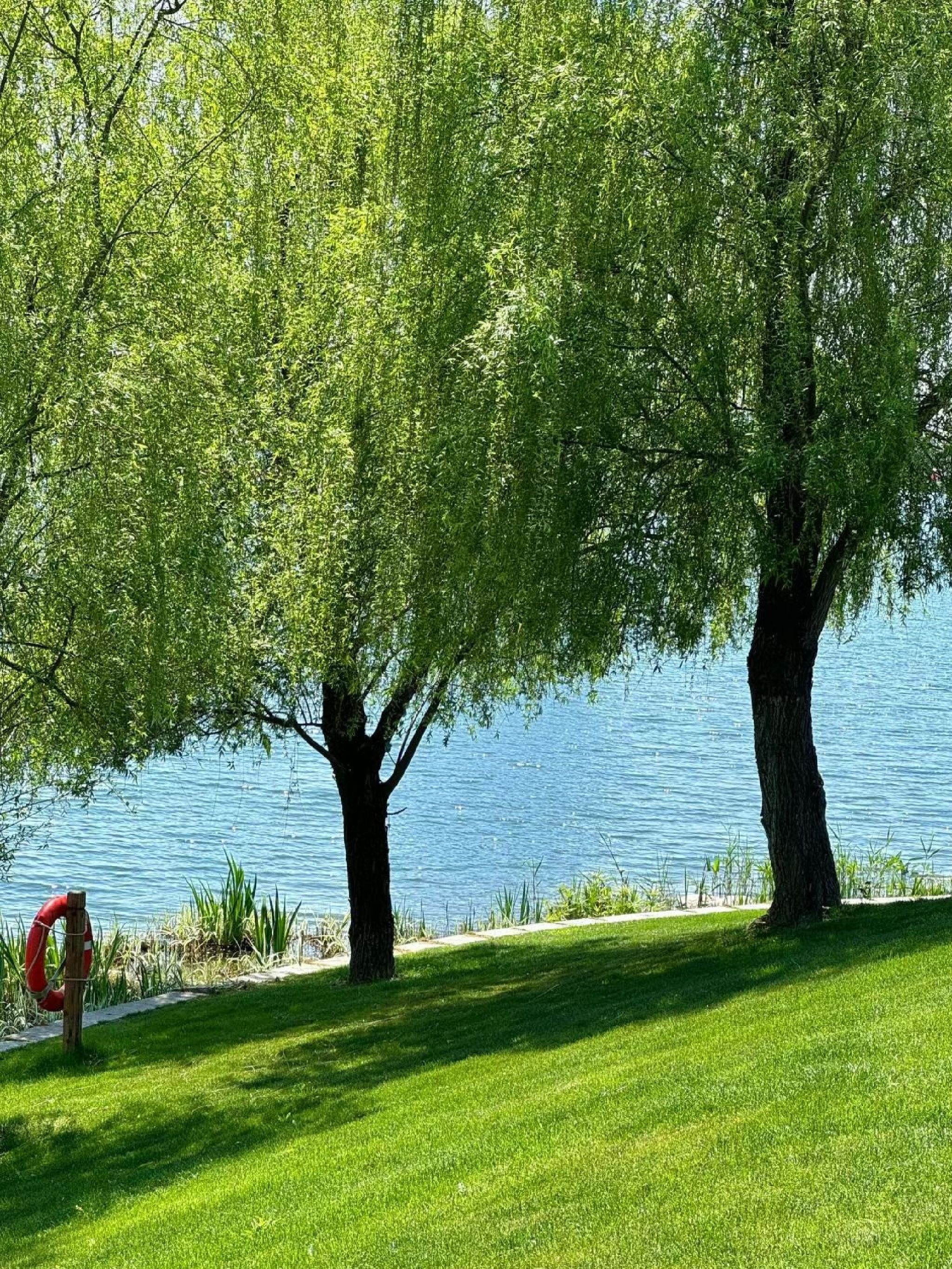 翡翠公园旅行图片 1