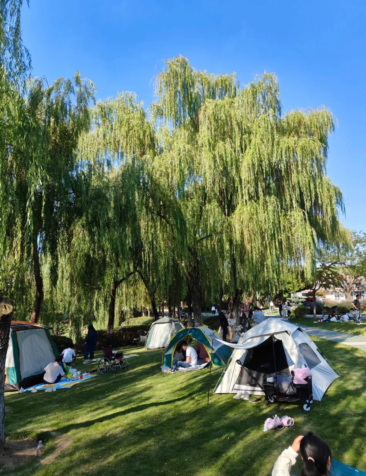 翡翠公园旅行图片 2