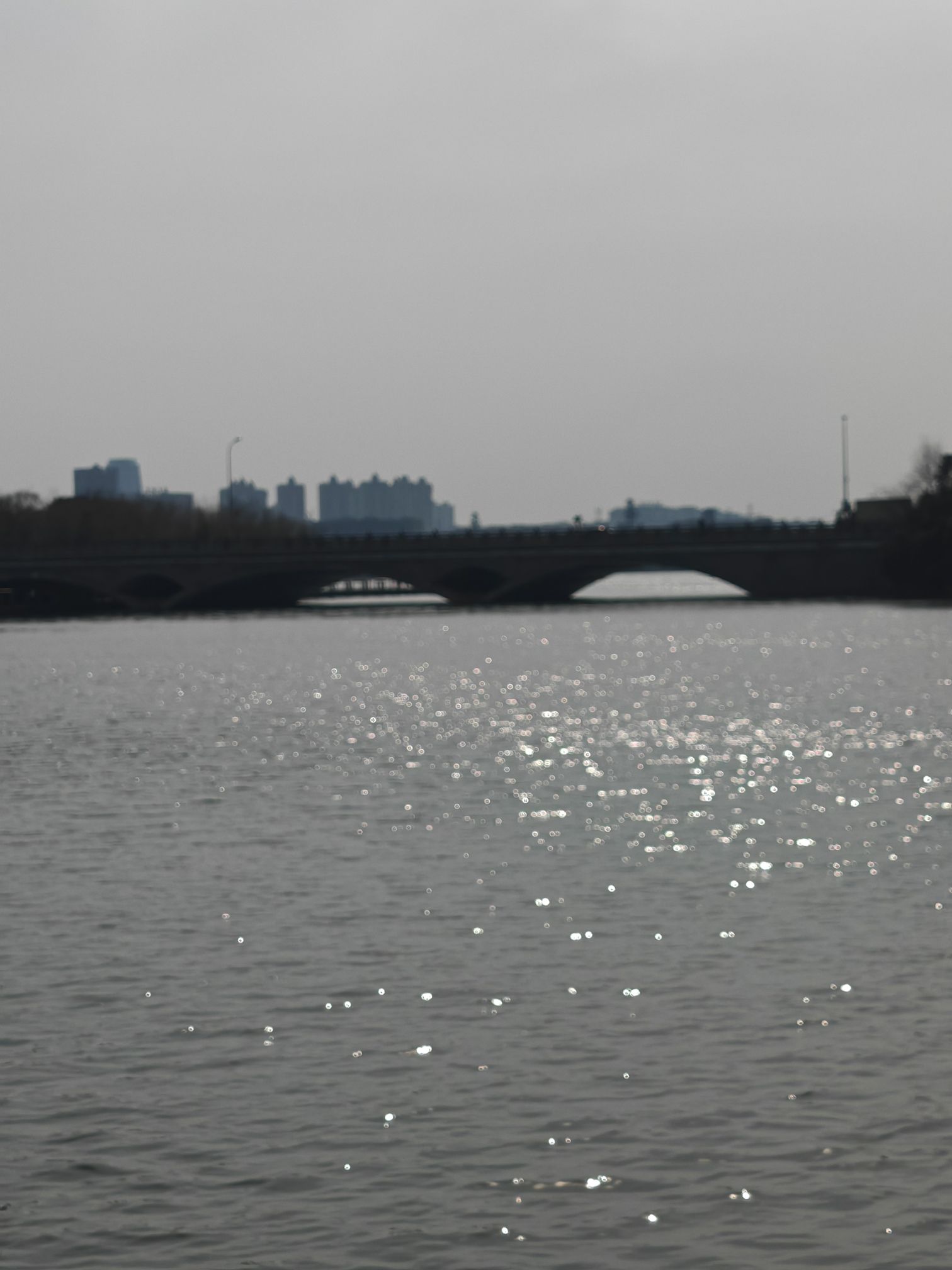 翡翠公园旅行图片 2