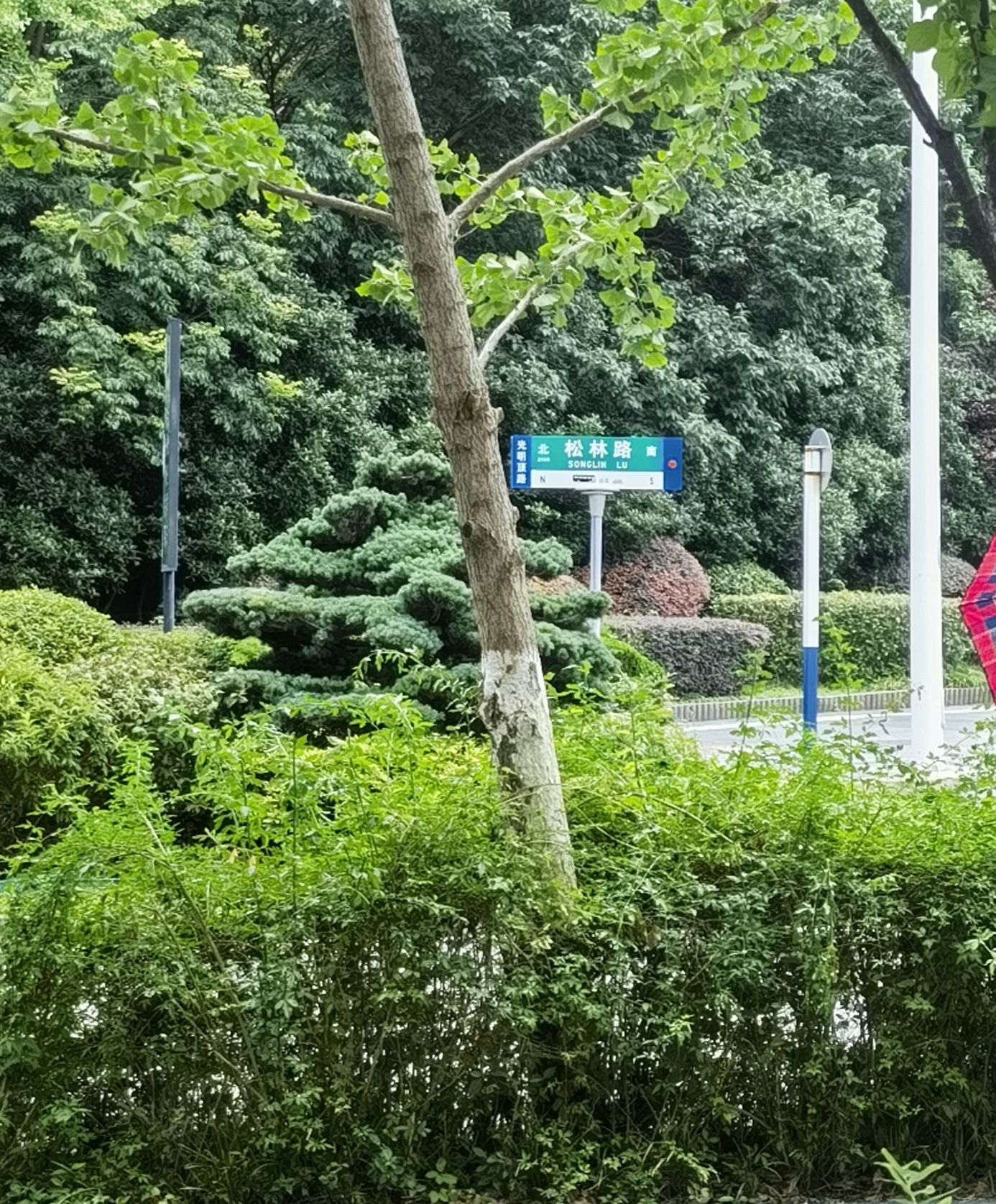 翡翠公园旅行图片 3
