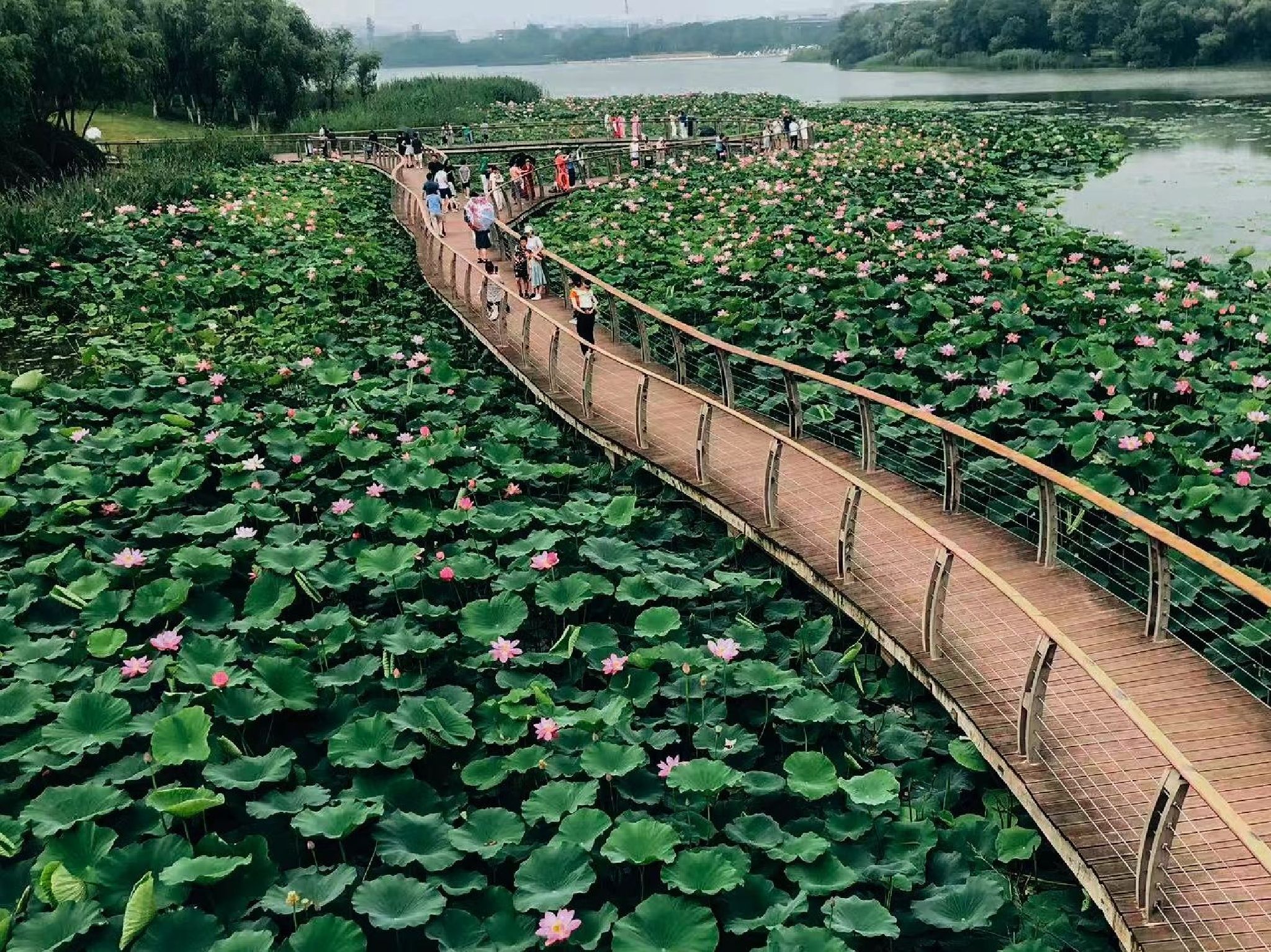 翡翠公园旅行图片 3