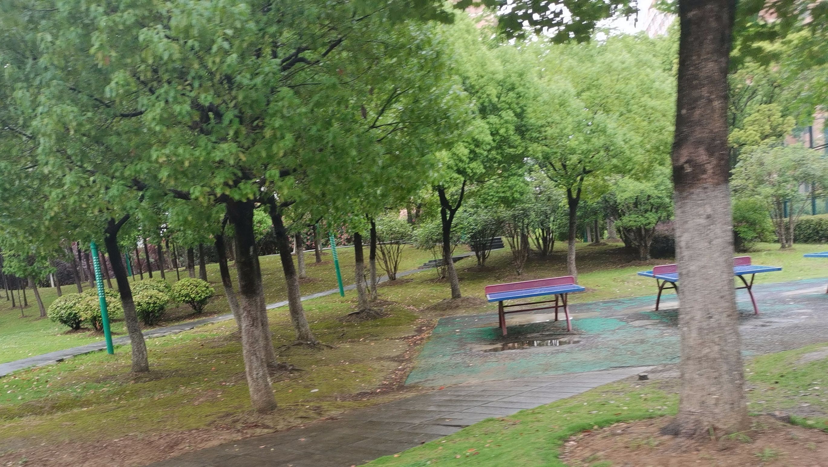 明珠公园旅行图片 1