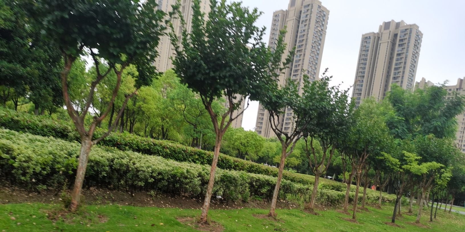 明珠公园旅行图片 2