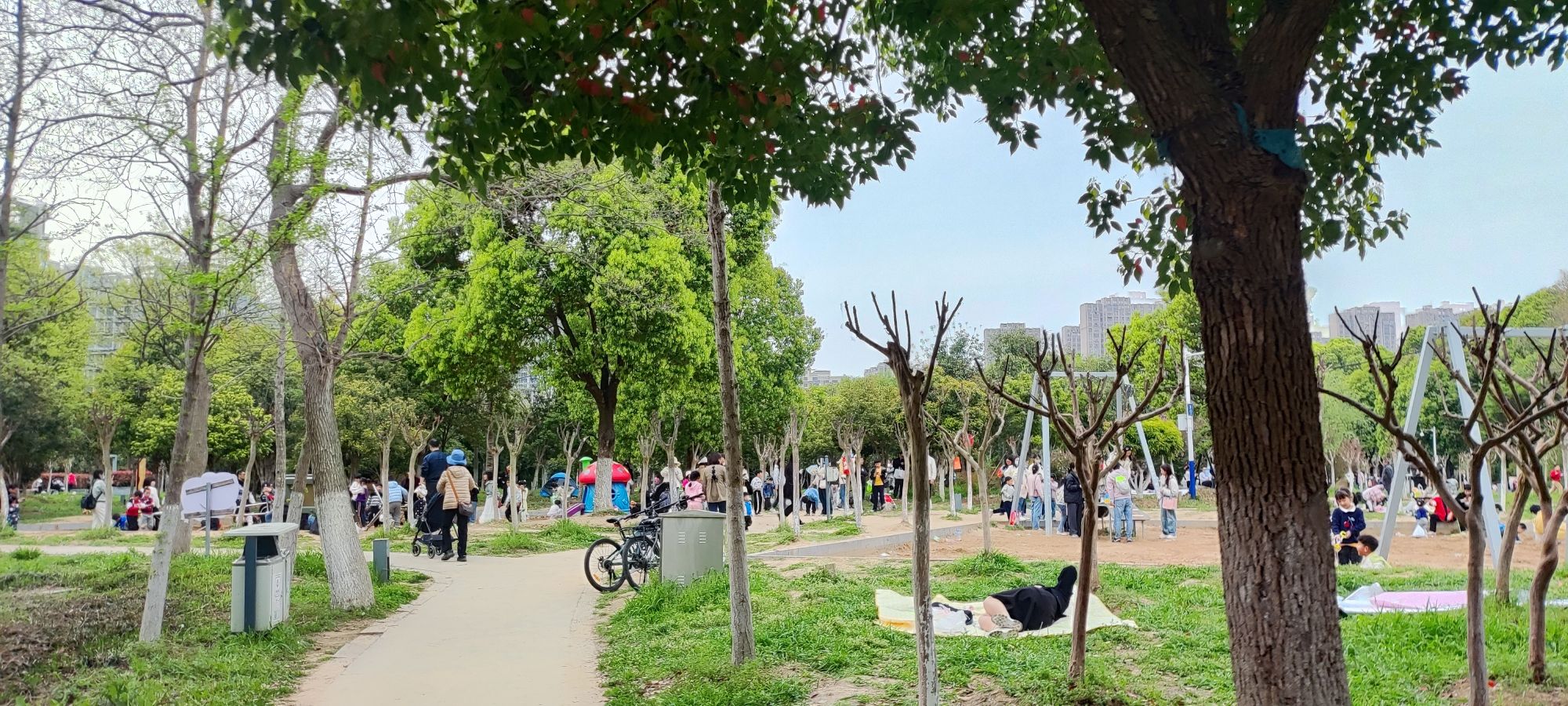南艳湖公园旅行图片 3