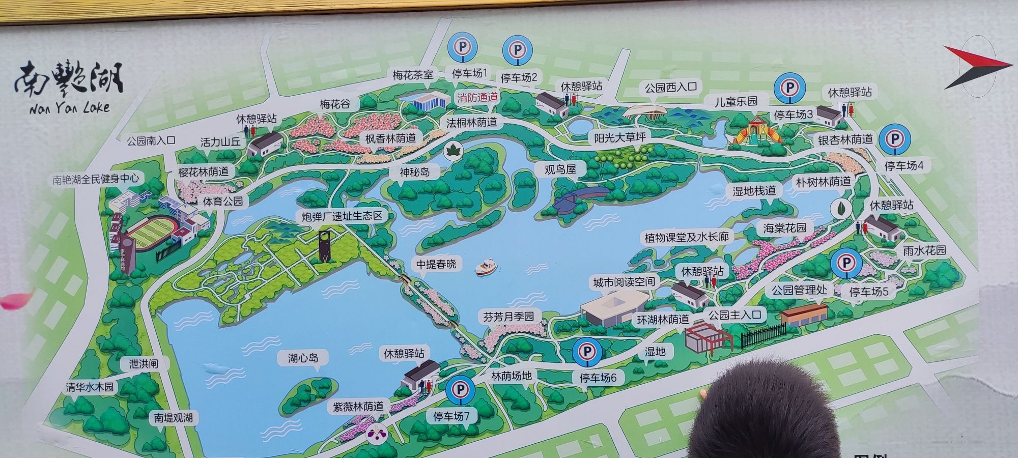 南艳湖公园旅行图片 2