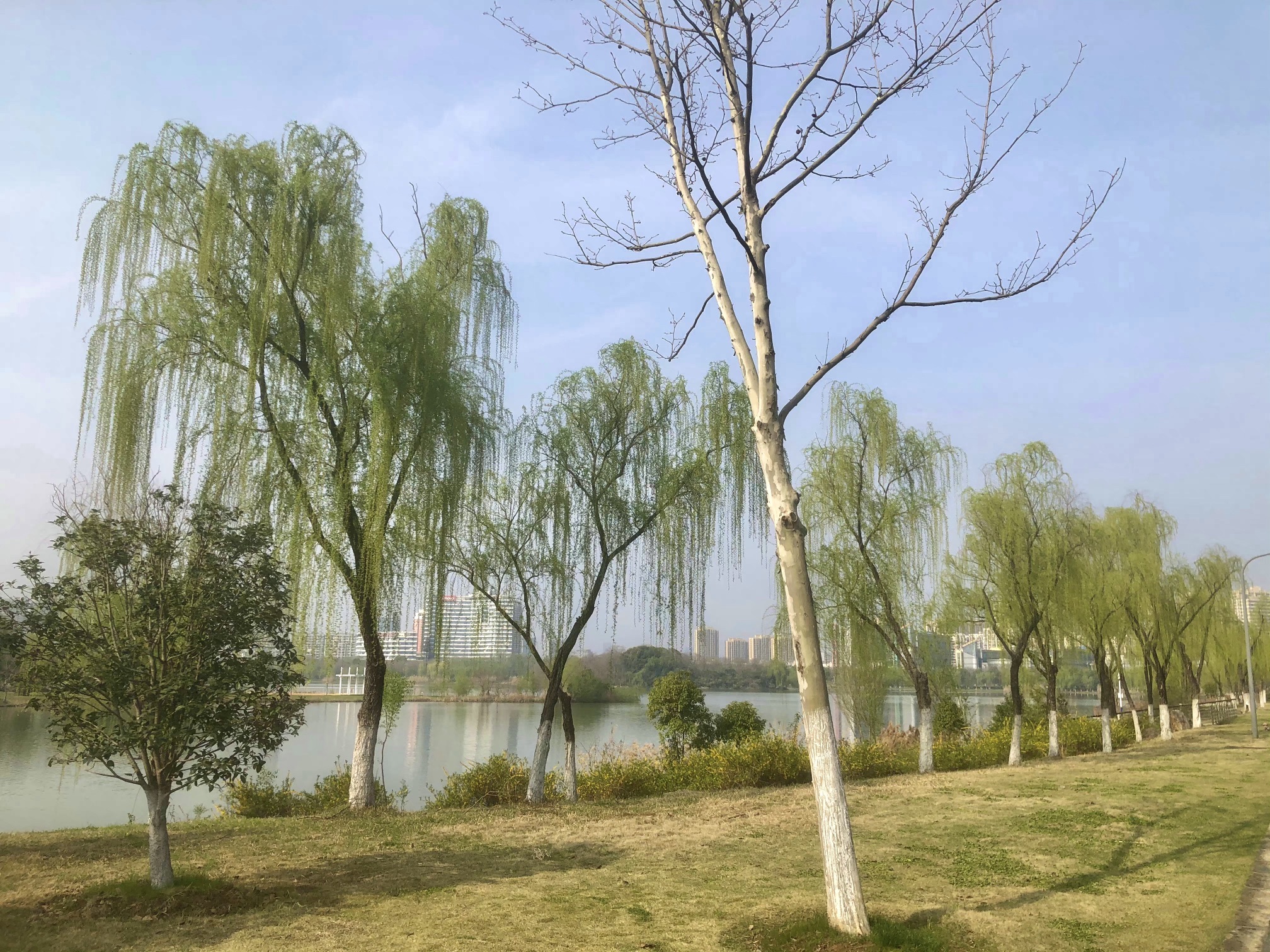 南艳湖公园旅行图片 3
