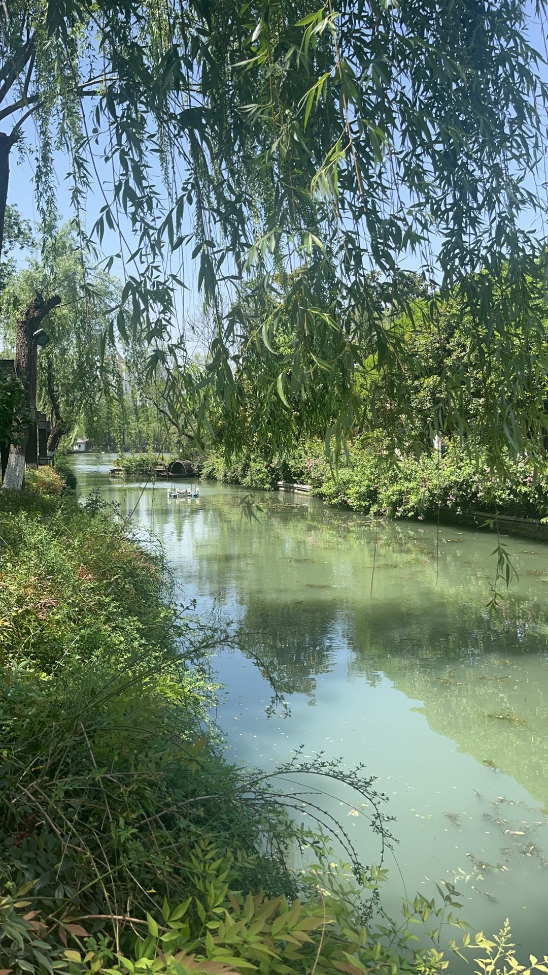 南艳湖公园旅行图片 3