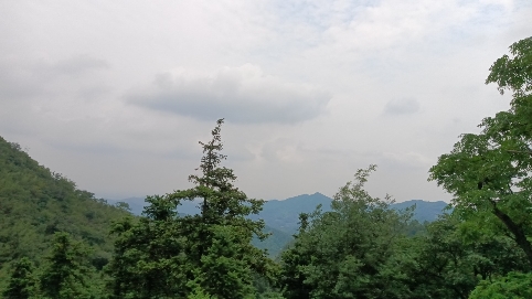 白马岭景区(暂停开放)的第2张图片的图片资料