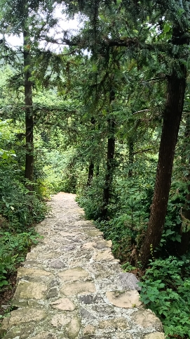白马岭景区(暂停开放)的第3张图片的图片资料