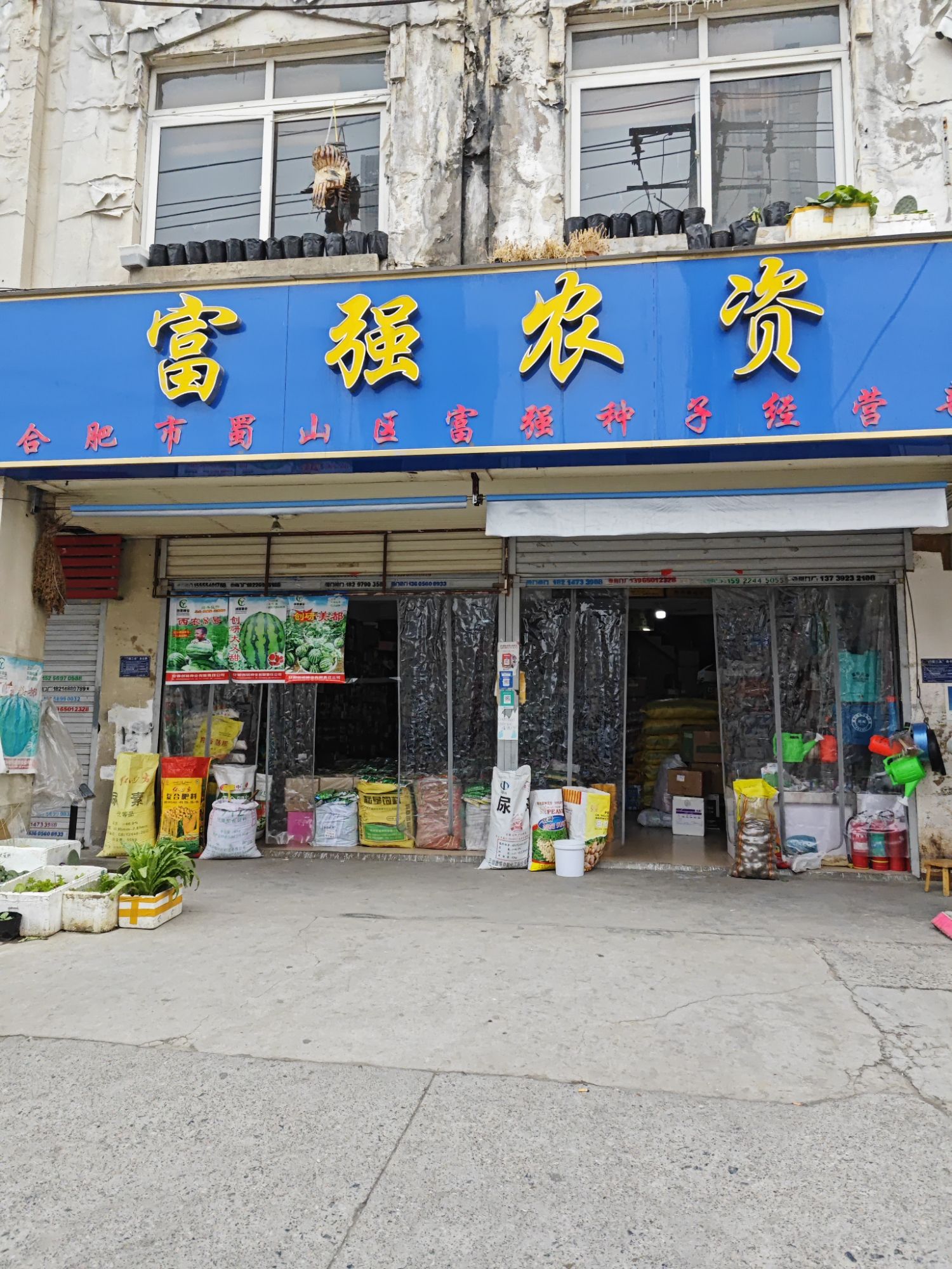 富强农资(合肥市蜀山区富强种子经营部)