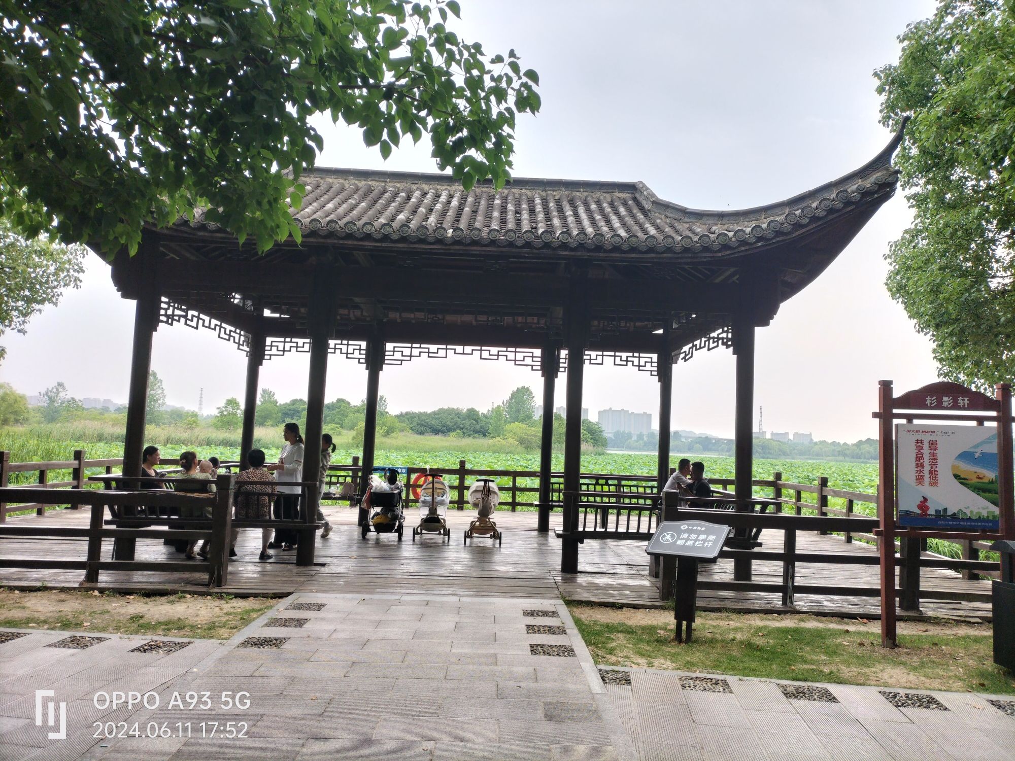 陶冲湖公园旅行图片 2