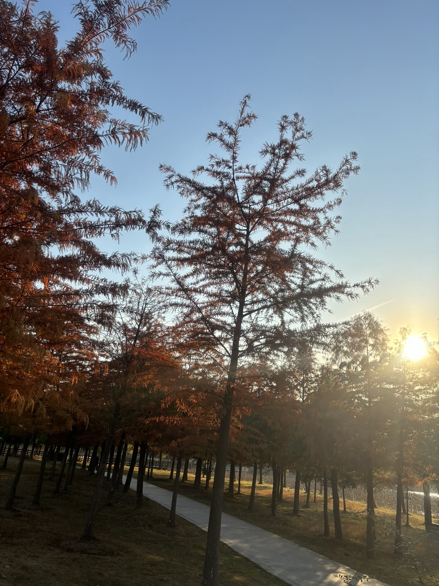 陶冲湖公园旅行图片 3