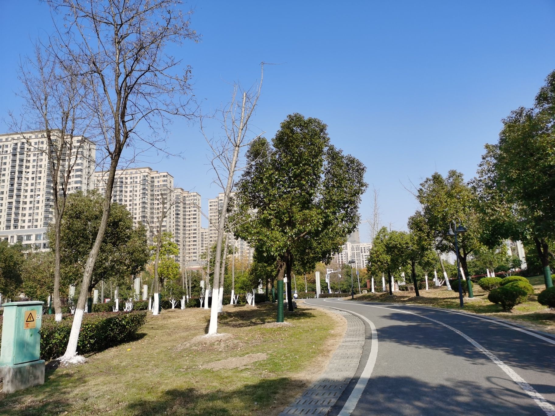 陶冲湖公园旅行图片 1