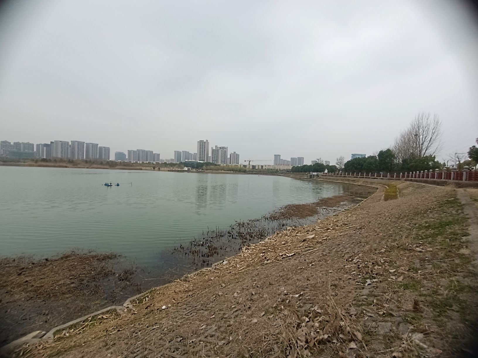 陶冲湖公园旅行图片 1