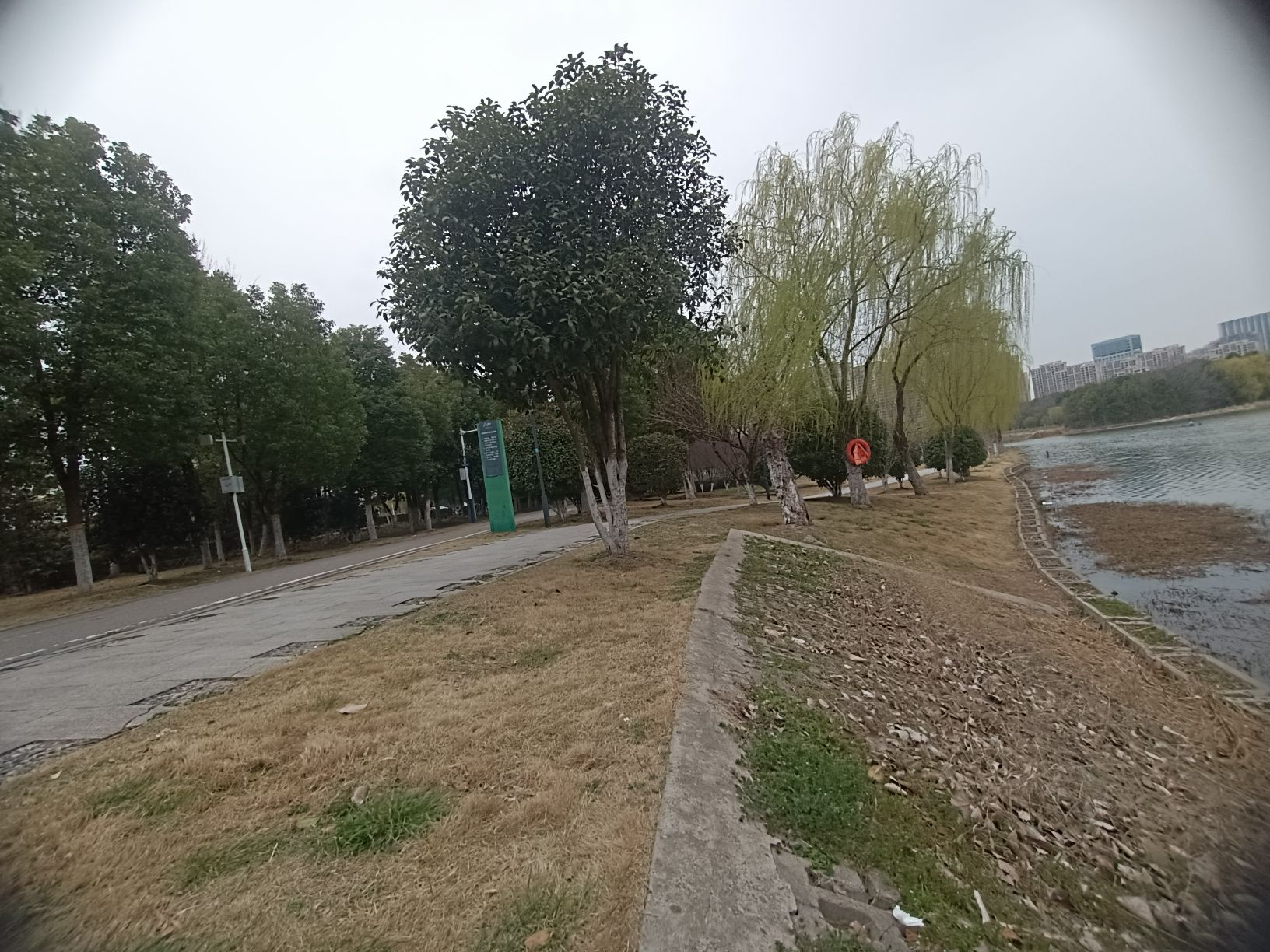 陶冲湖公园旅行图片 3