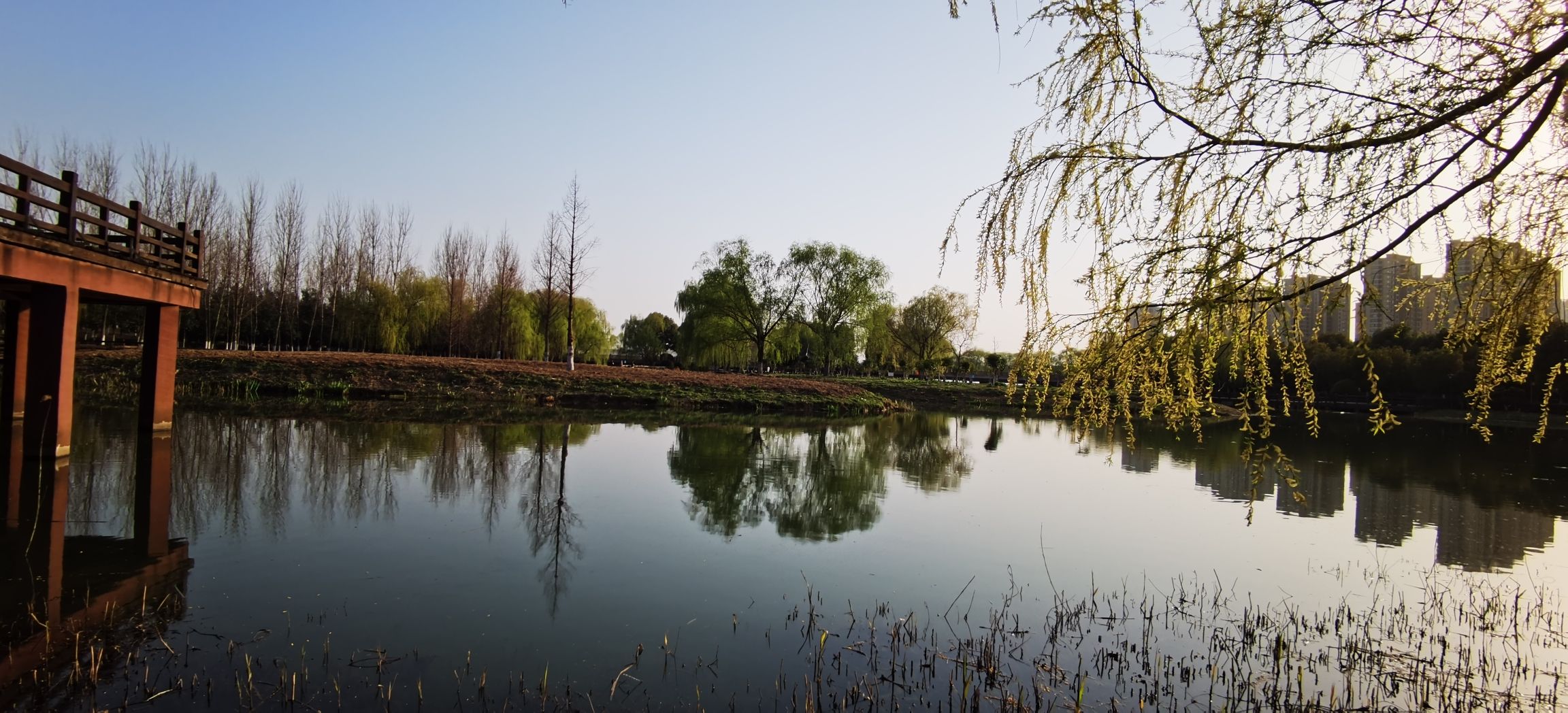 陶冲湖公园旅行图片 1