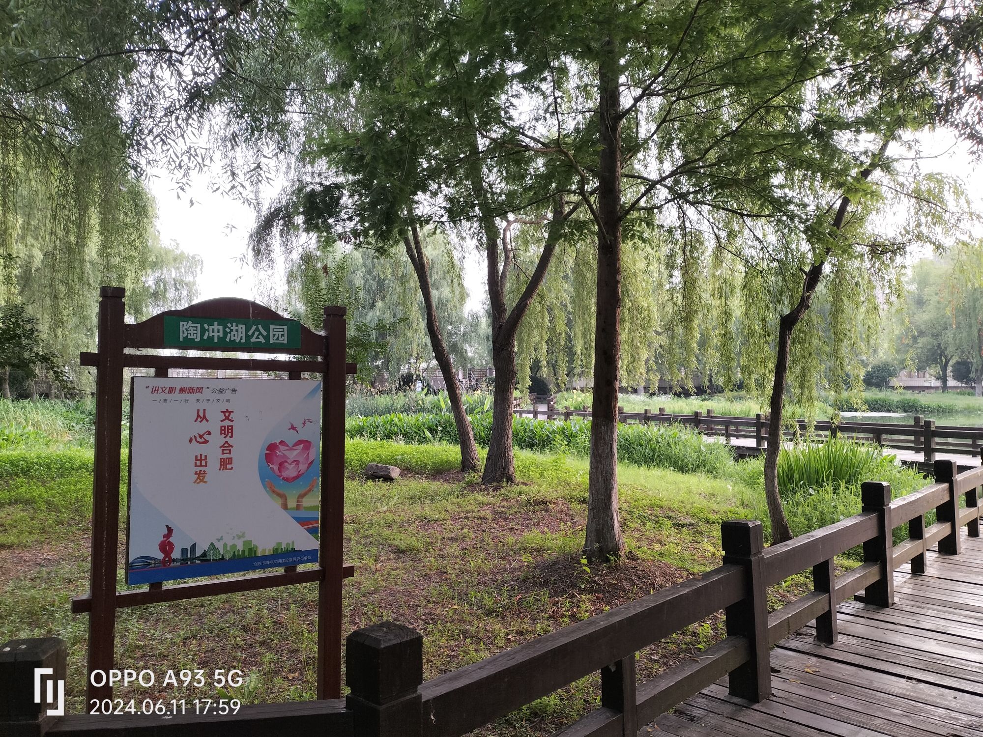 陶冲湖公园旅行图片 1