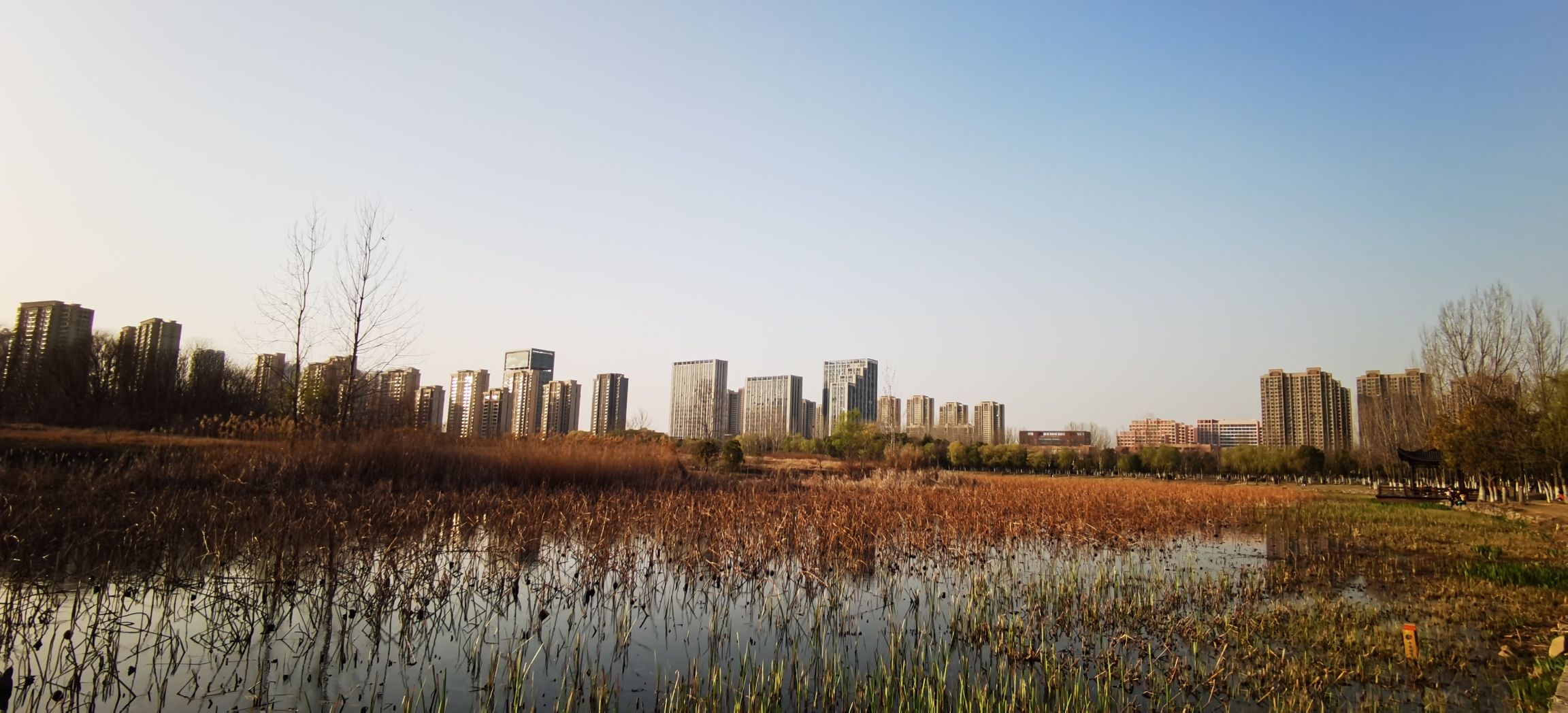 陶冲湖公园旅行图片 2