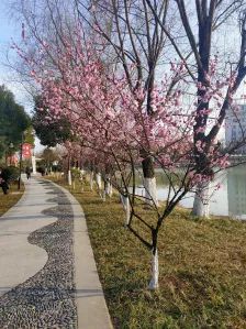 东城公园旅行图片 3